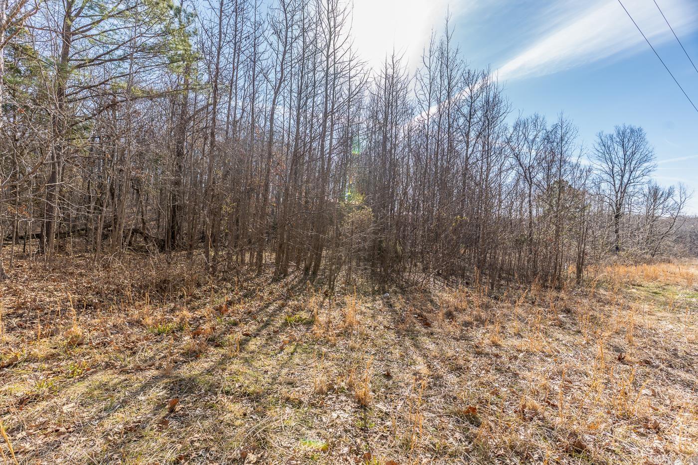 3.03 Acres County Road 389 Property Photo 5