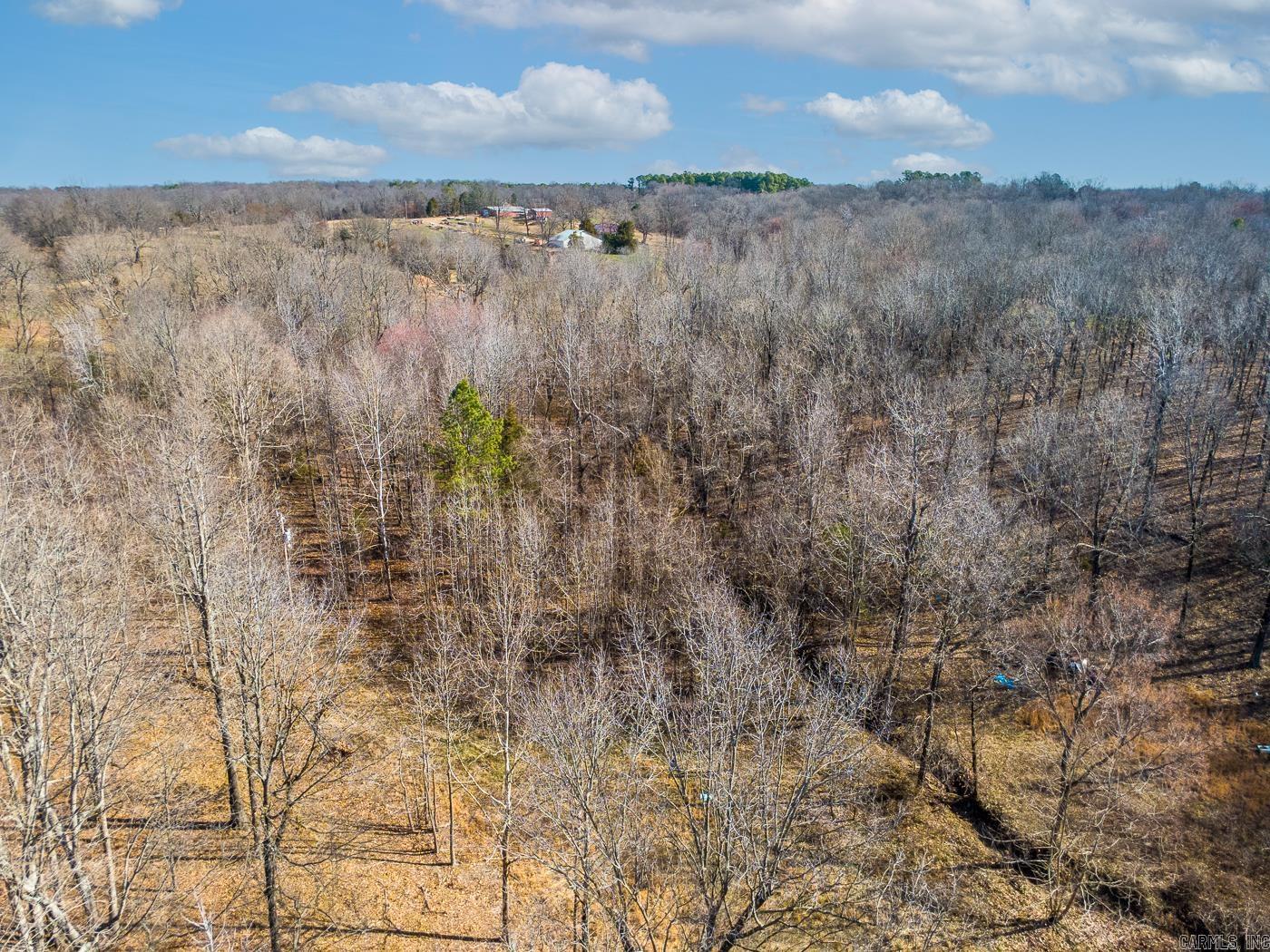 3.03 Acres County Road 389 Property Photo 6
