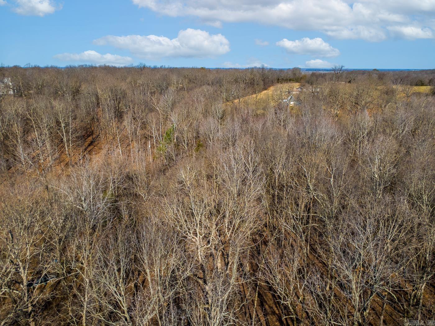 3.03 Acres County Road 389 Property Photo 7