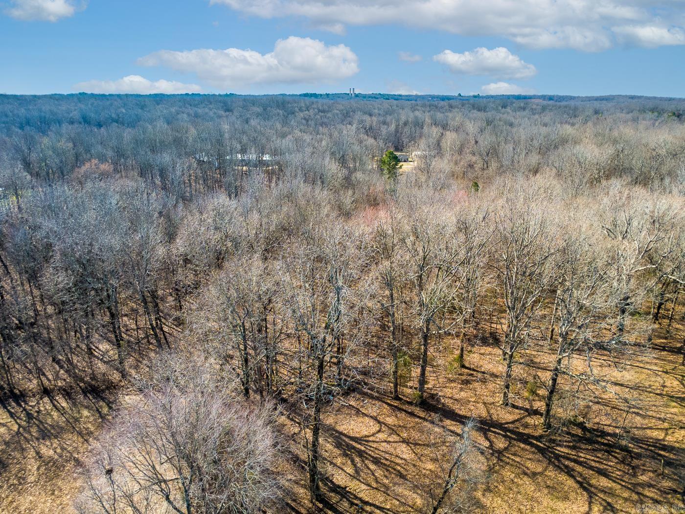 3.03 Acres County Road 389 Property Photo 9