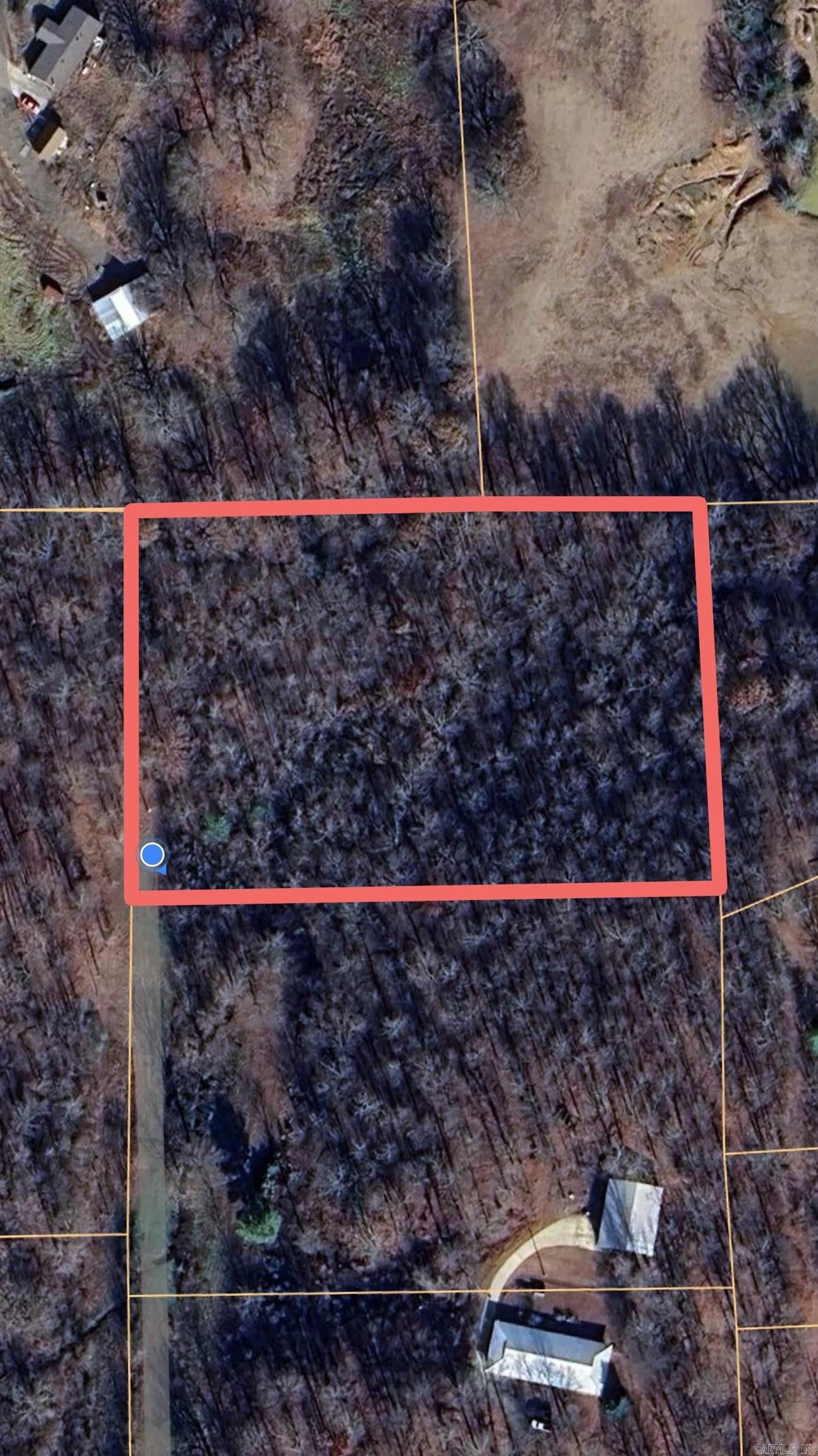 3.03 Acres County Road 389 Property Photo 28