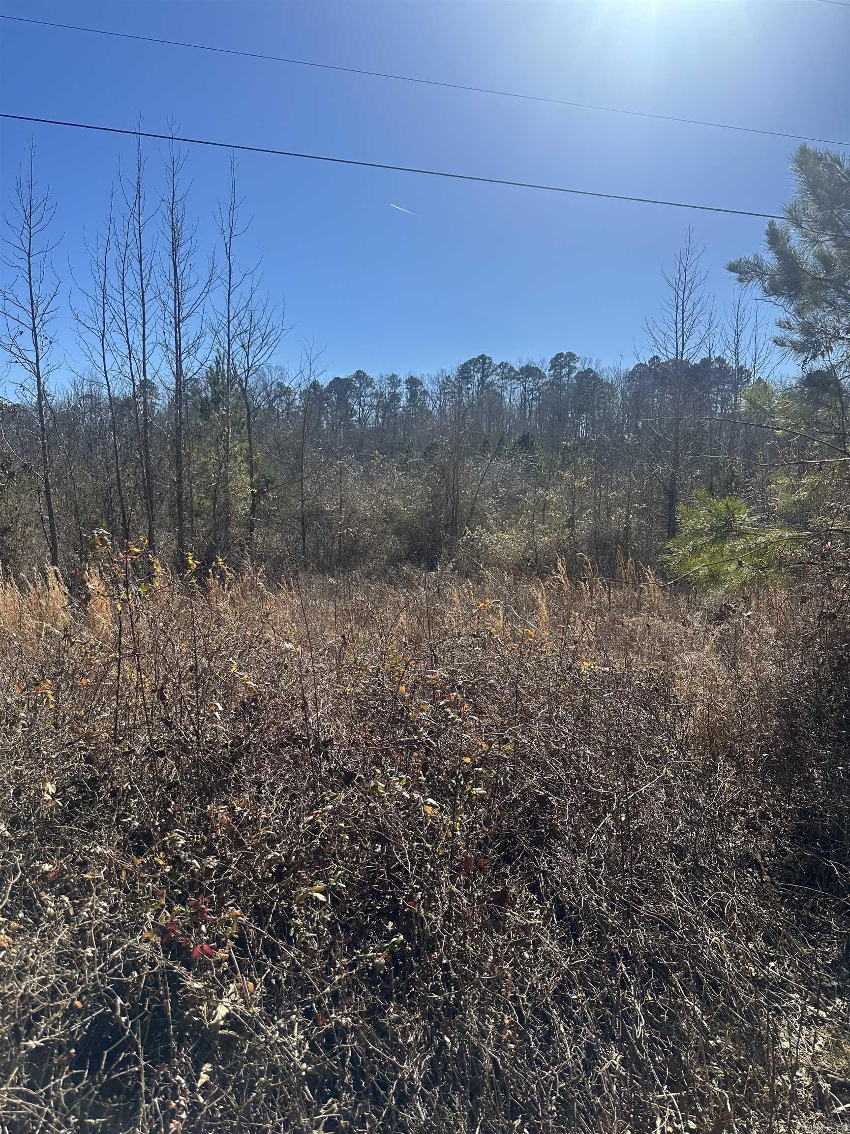 00g Walnut Valley Road Property Photo 6