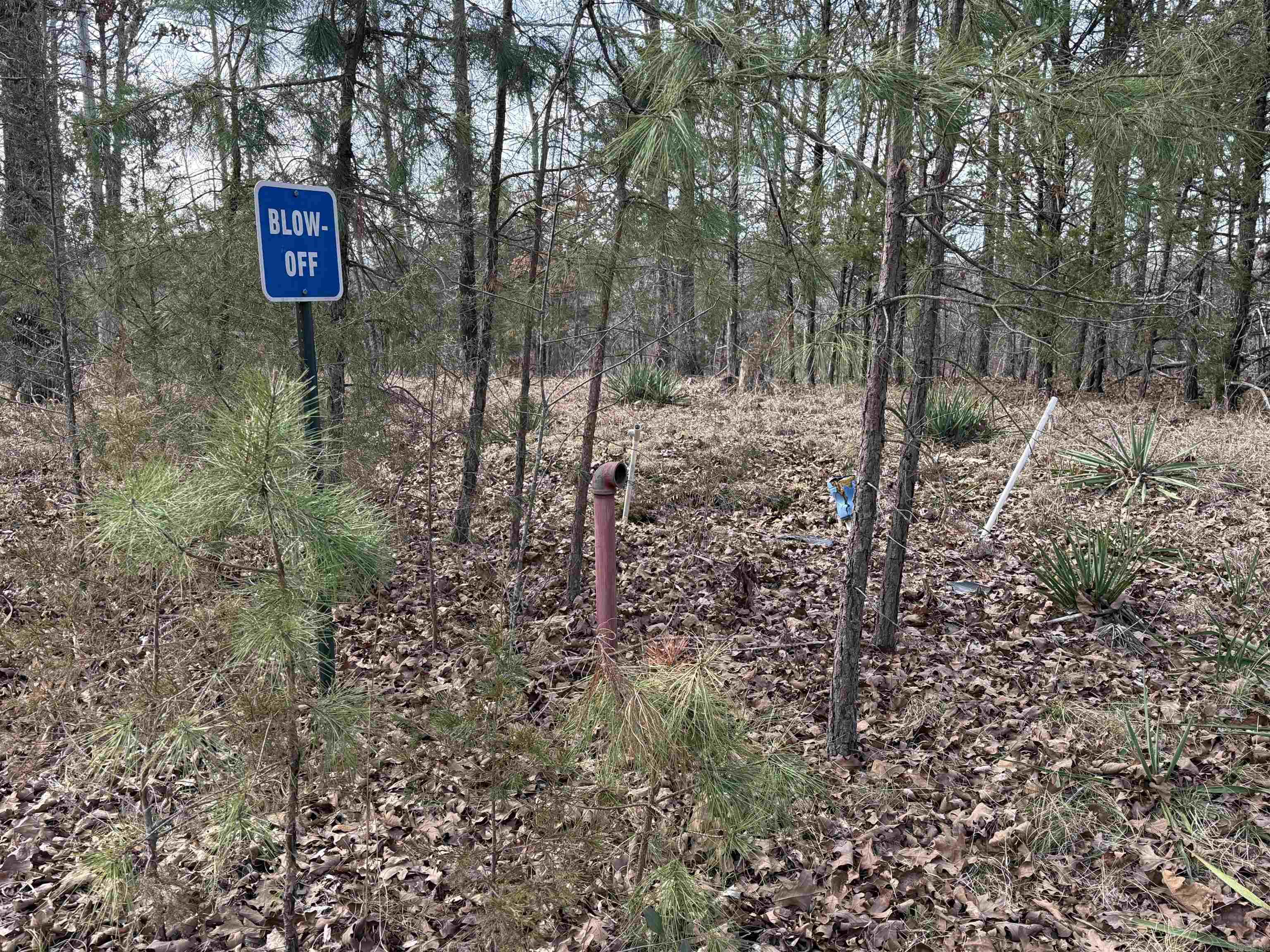 Heber Springs Area Property Photo 6