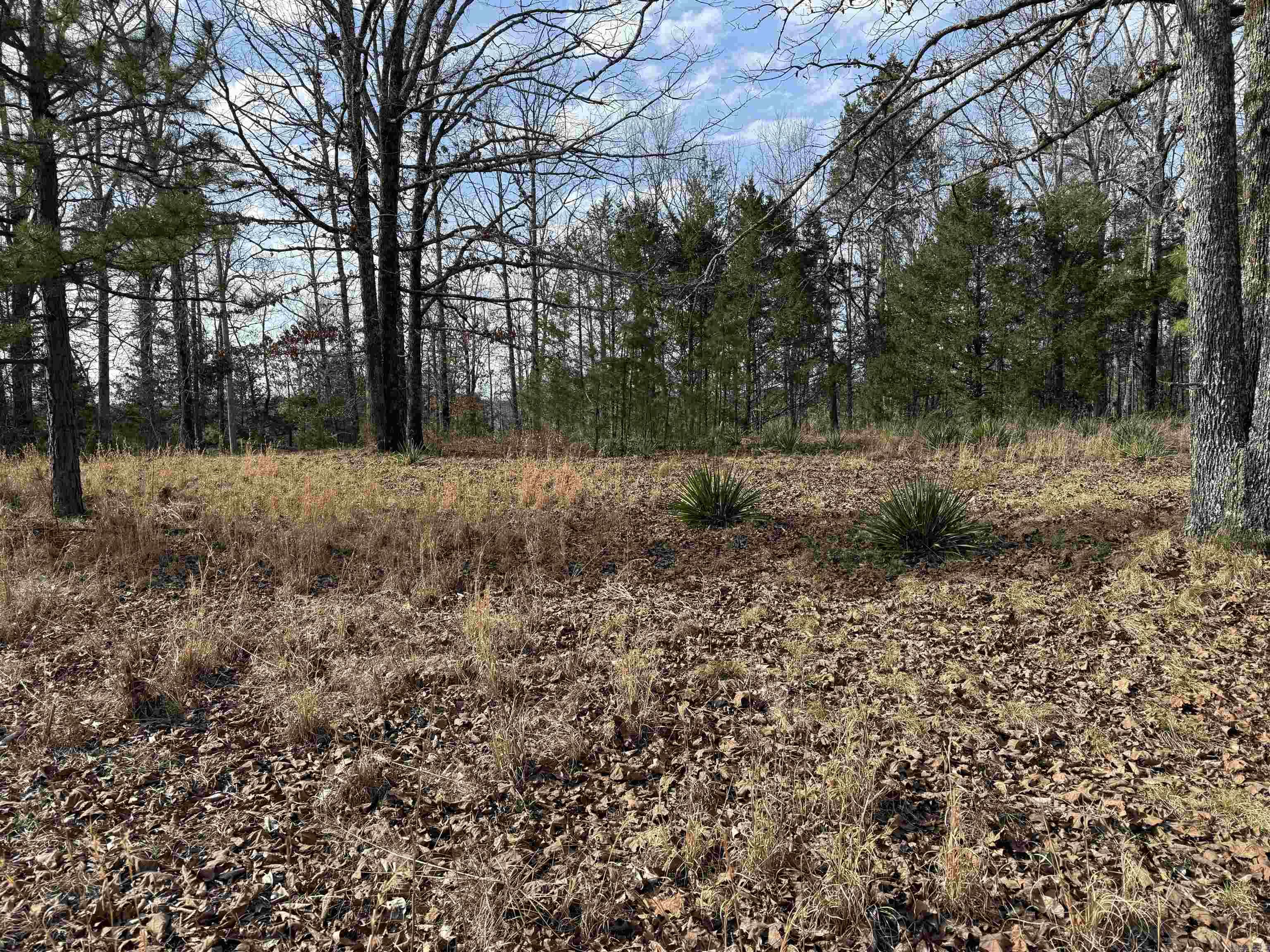 Heber Springs Area Property Photo 8