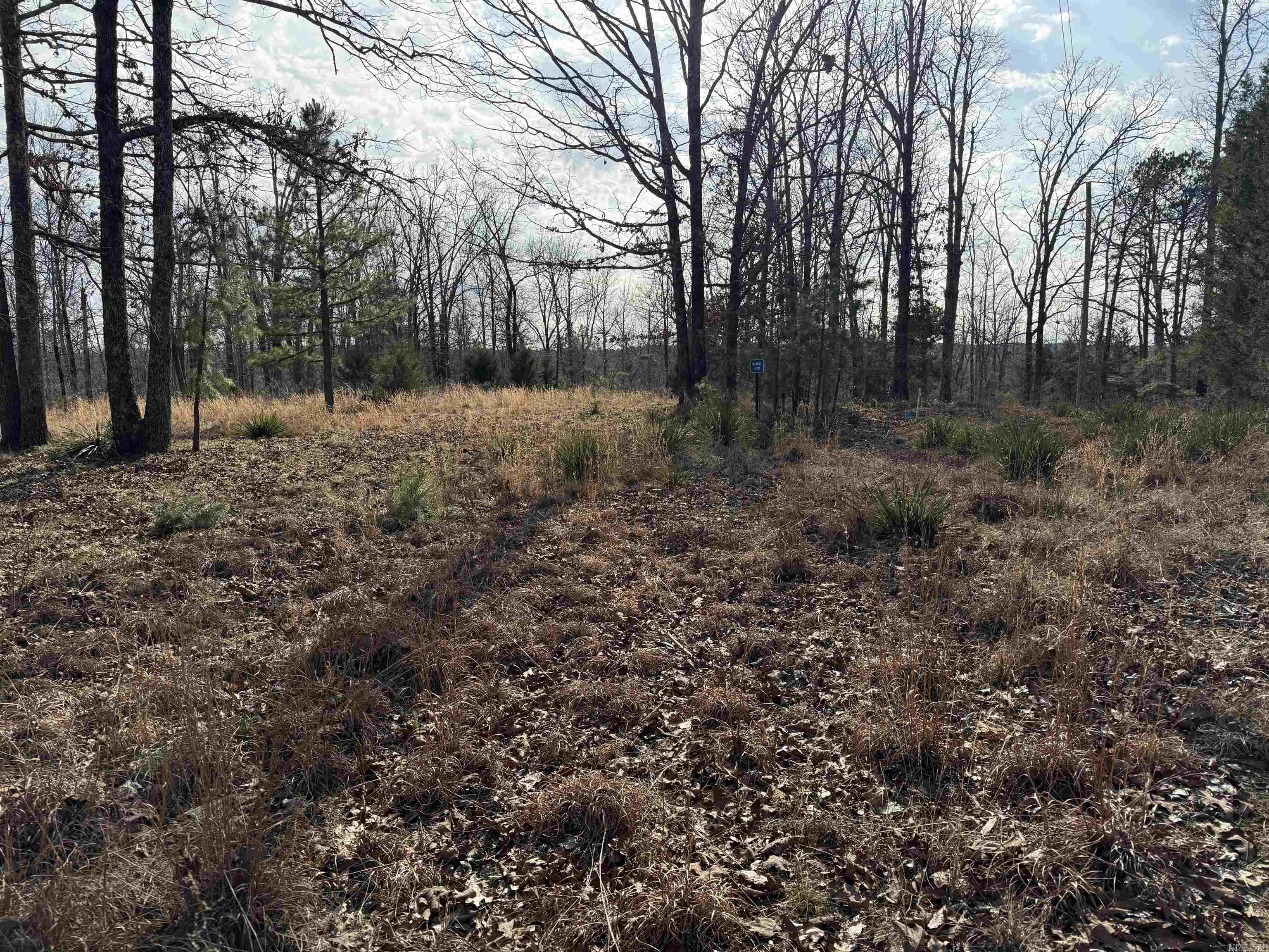 Heber Springs Area Property Photo 10