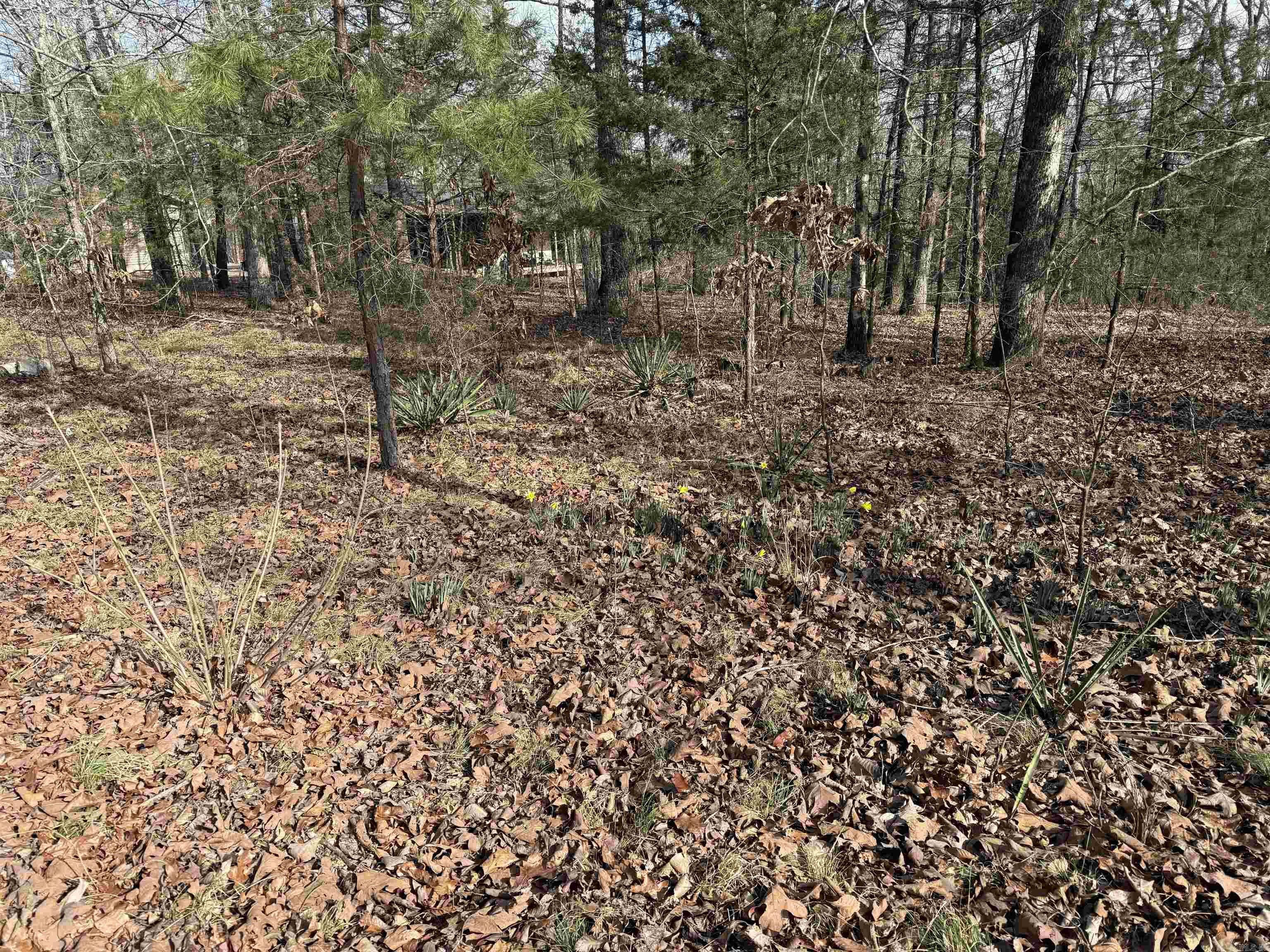 Heber Springs Area Property Photo 15