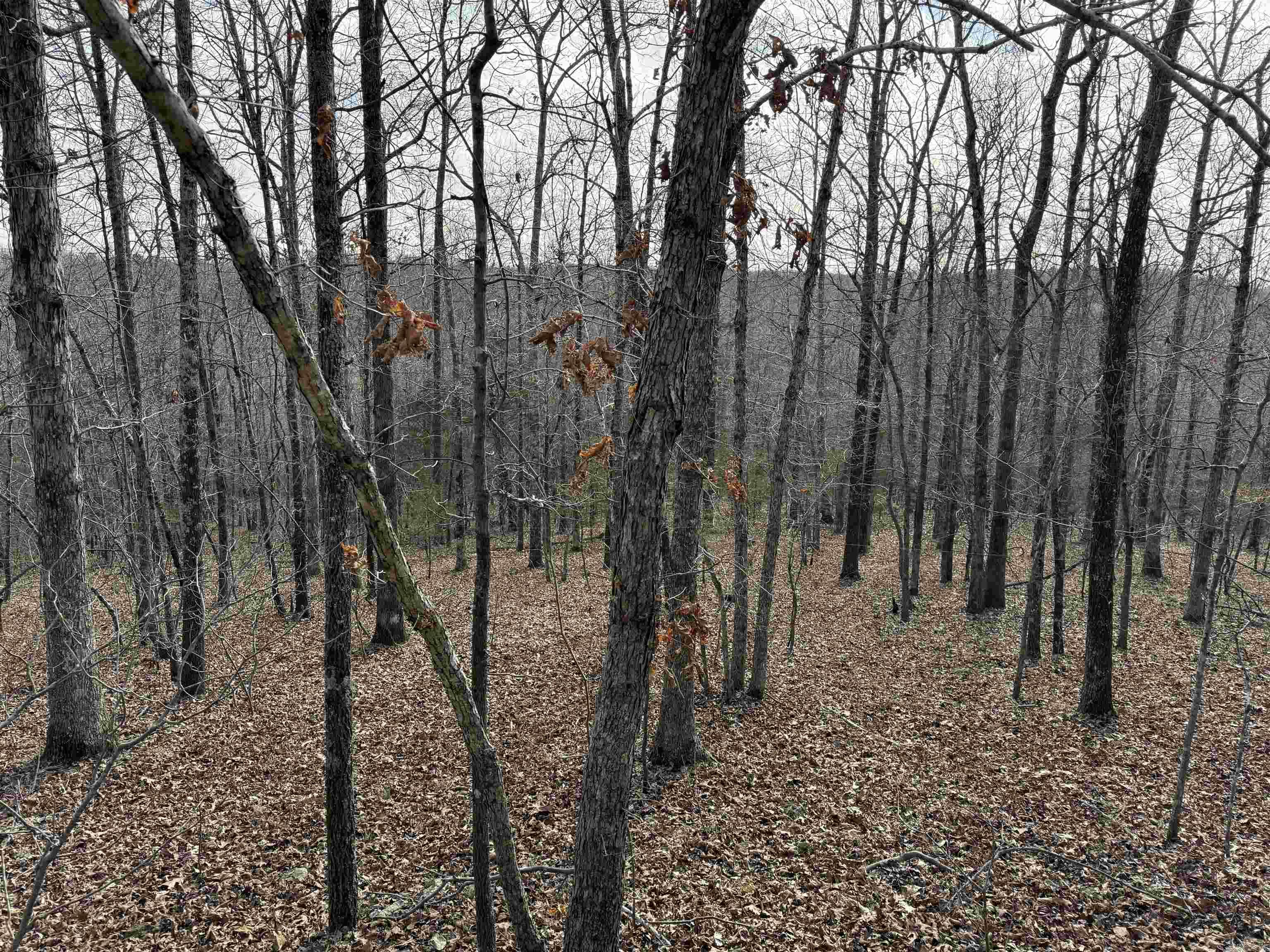 Heber Springs Area Property Photo 22