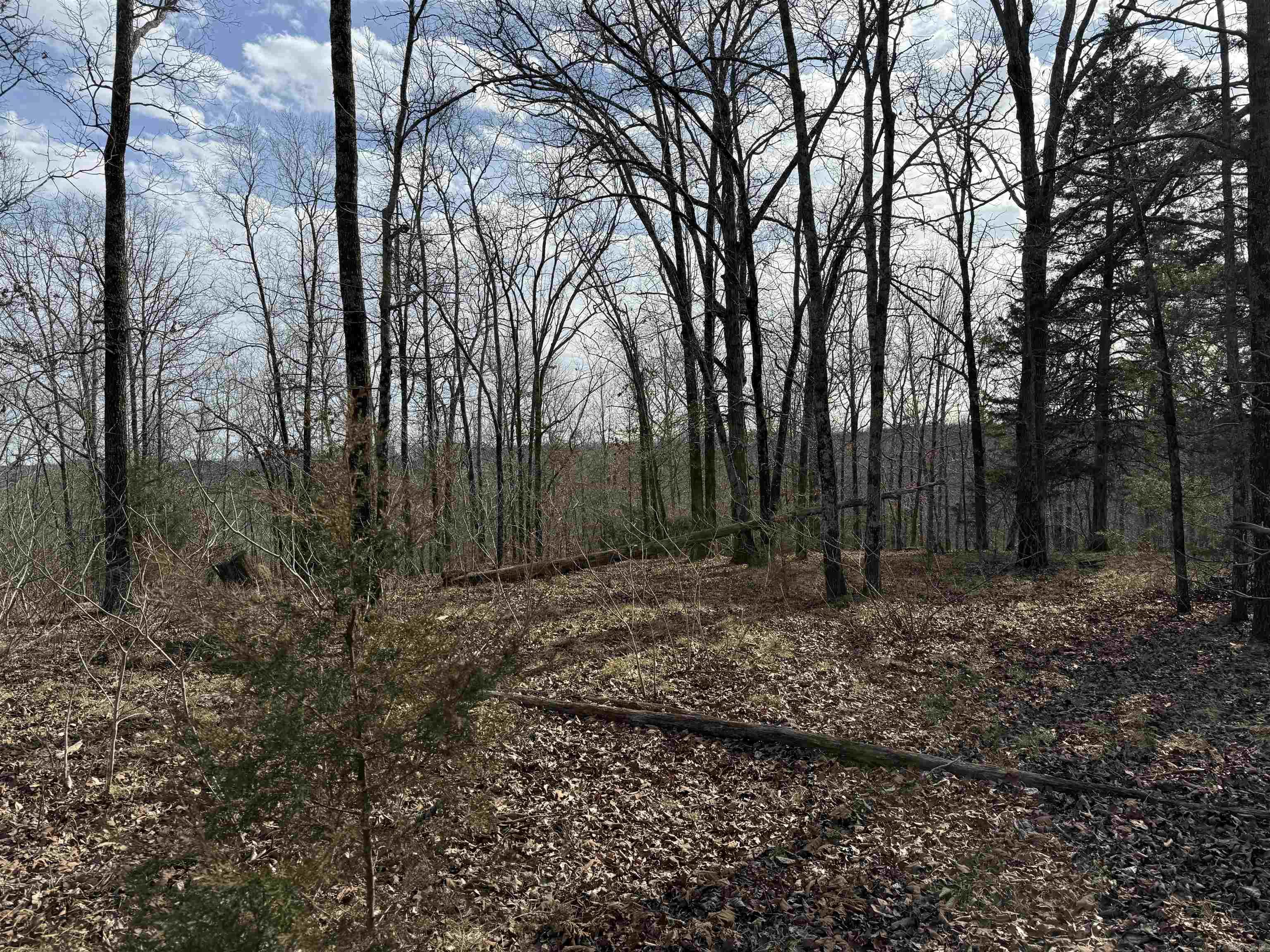 Heber Springs Area Property Photo 25
