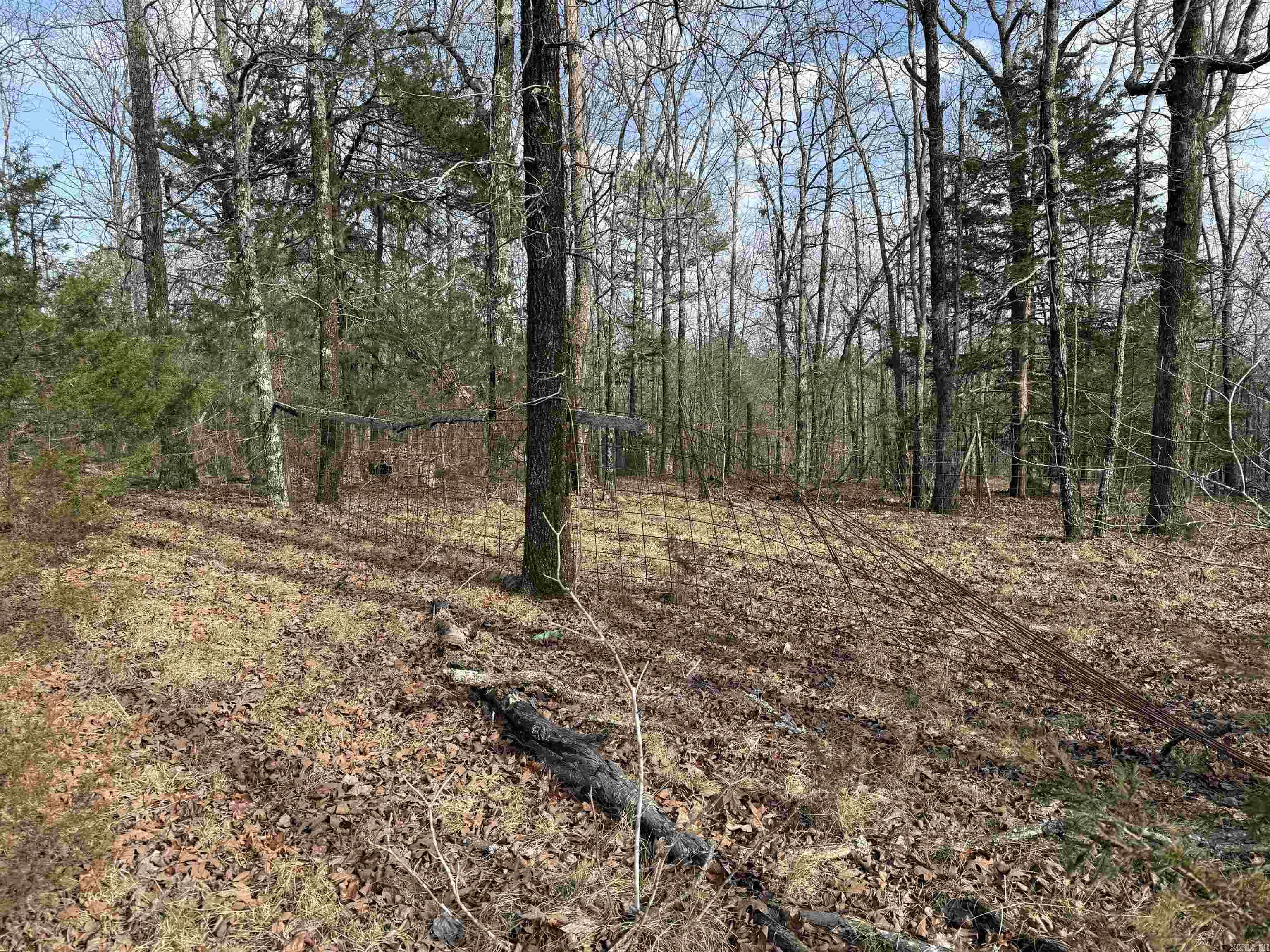 Heber Springs Area Property Photo 27