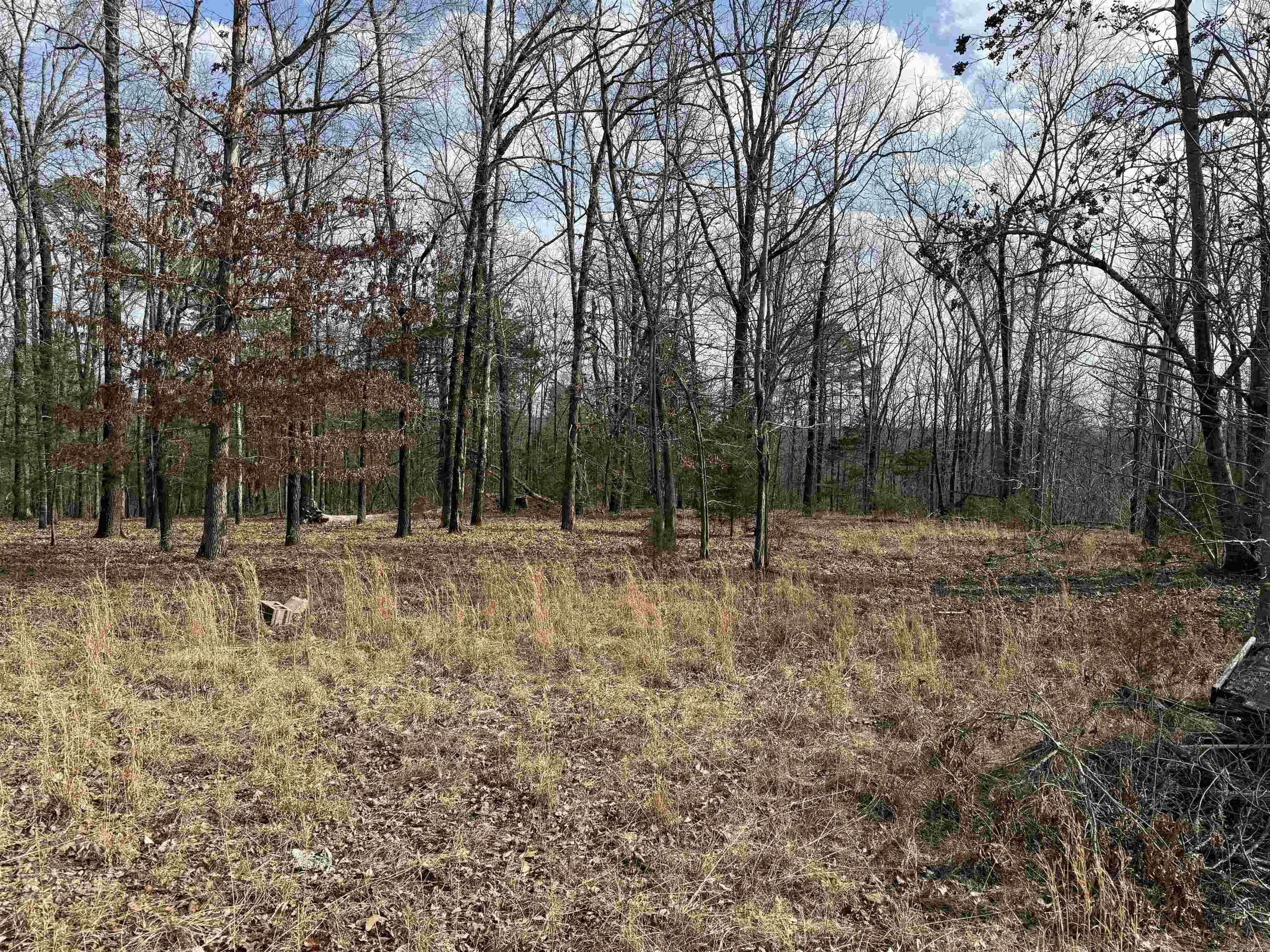 Heber Springs Area Property Photo 31