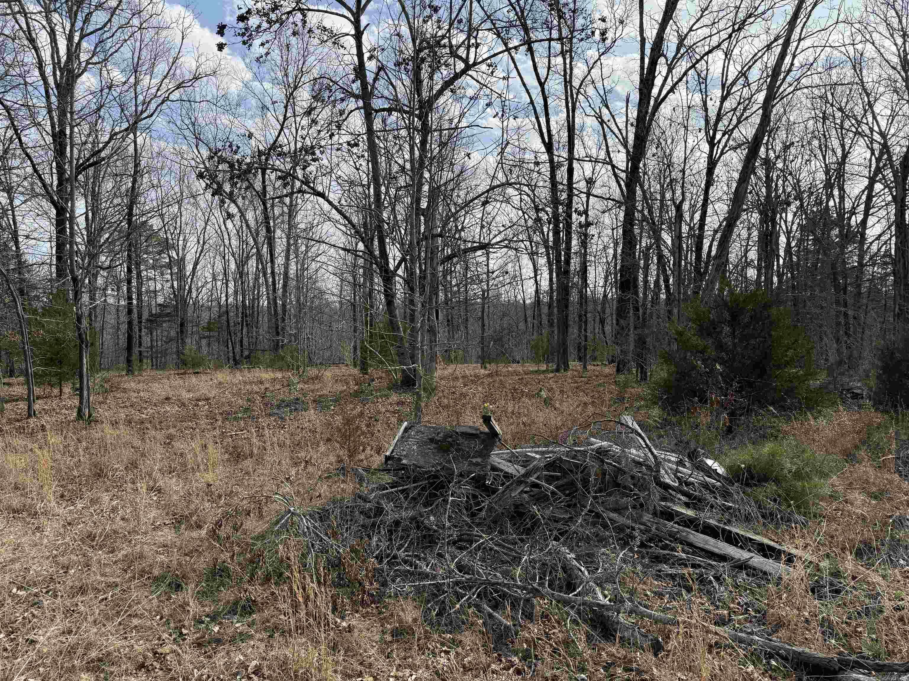 Heber Springs Area Property Photo 32