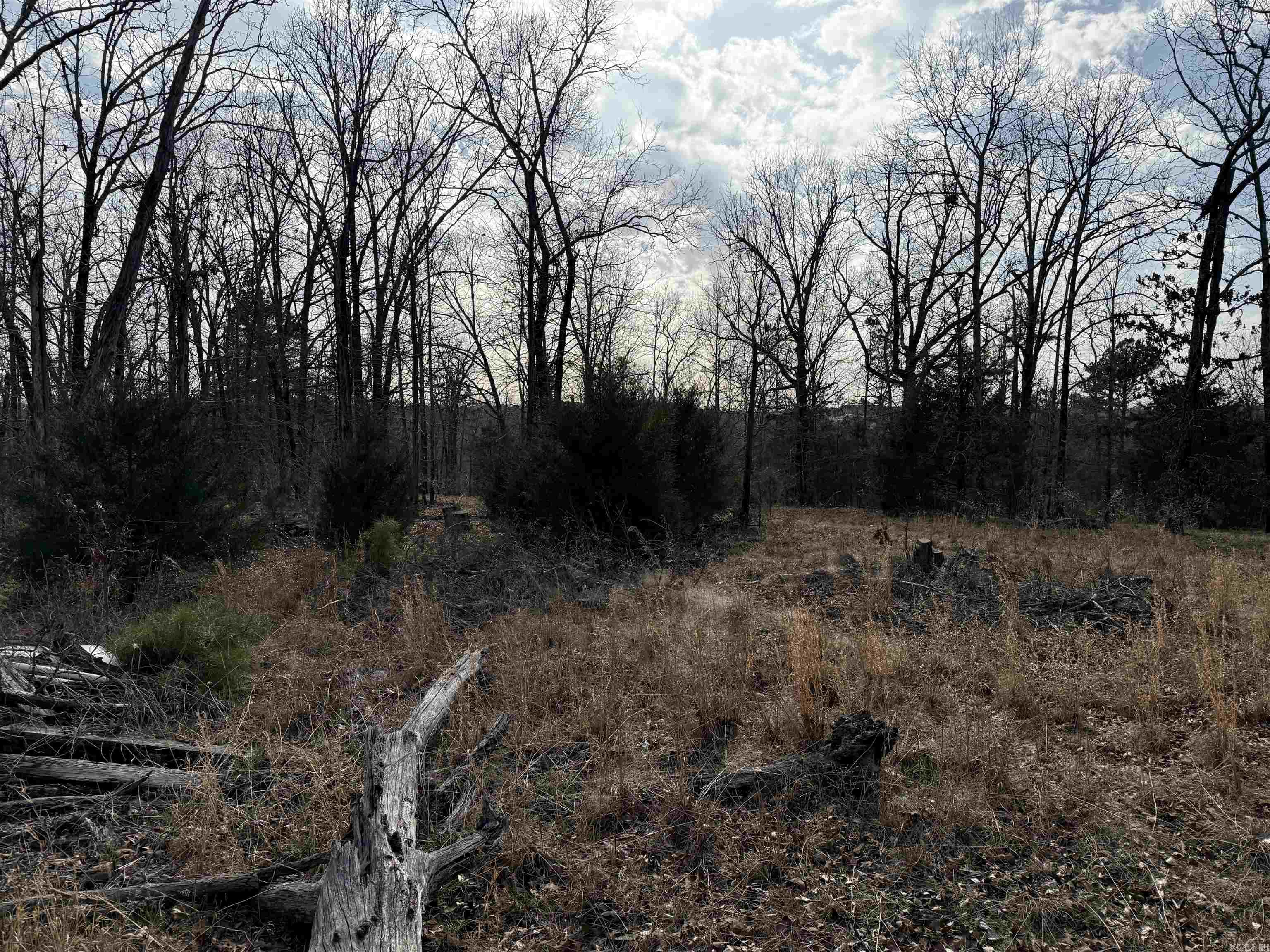 Heber Springs Area Property Photo 33