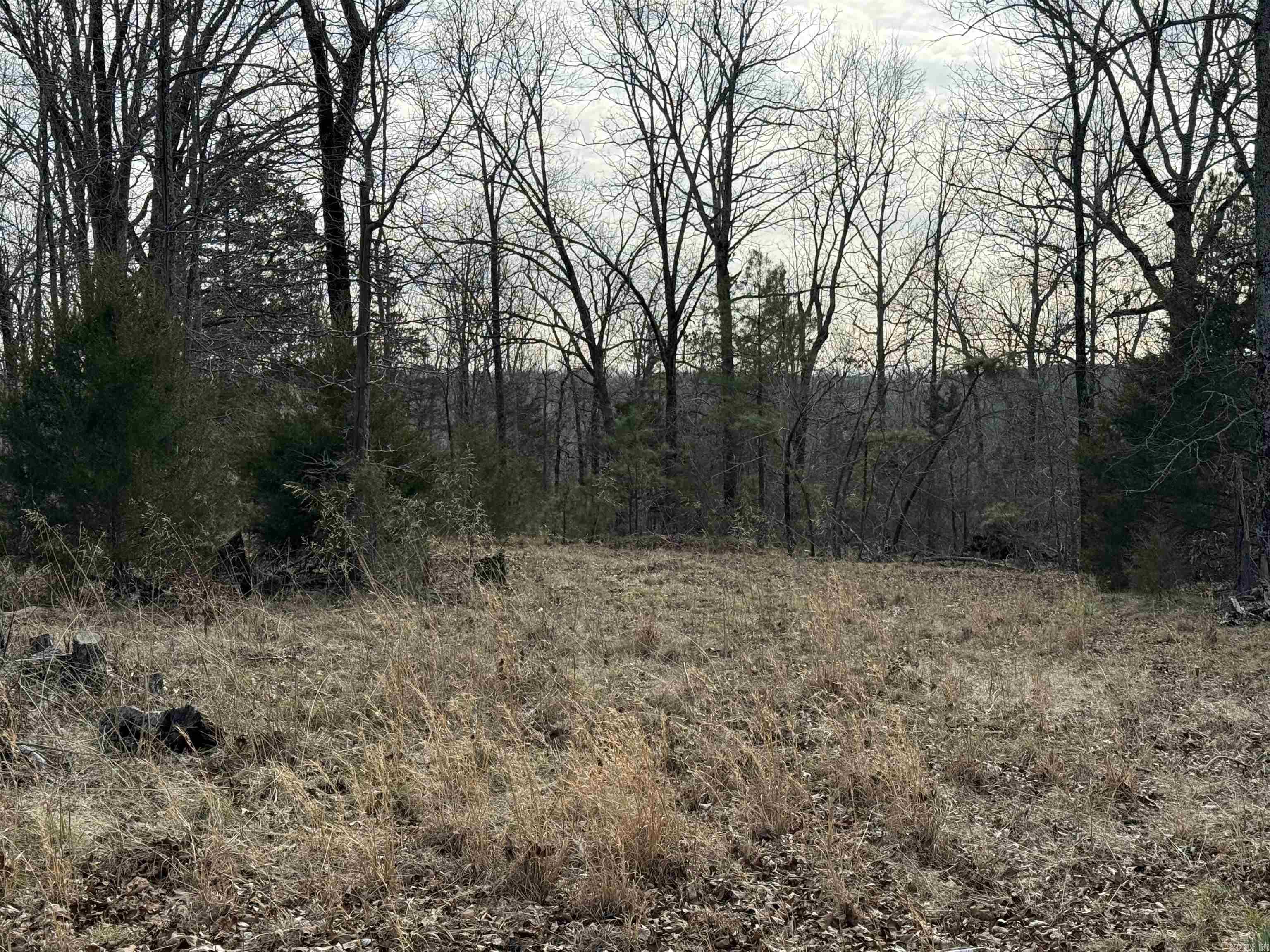 Heber Springs Area Property Photo 34
