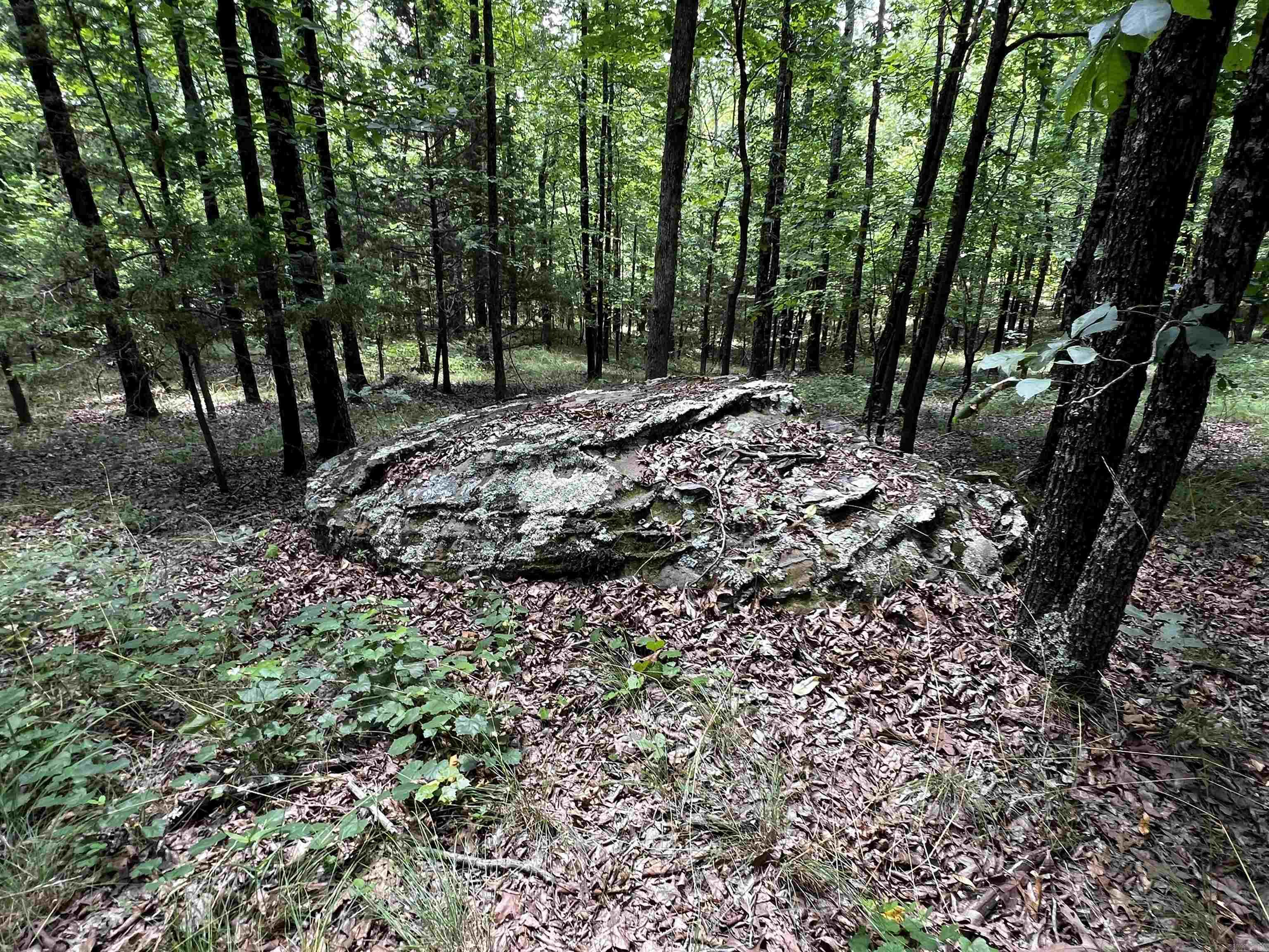 Heber Springs Area Property Photo 37