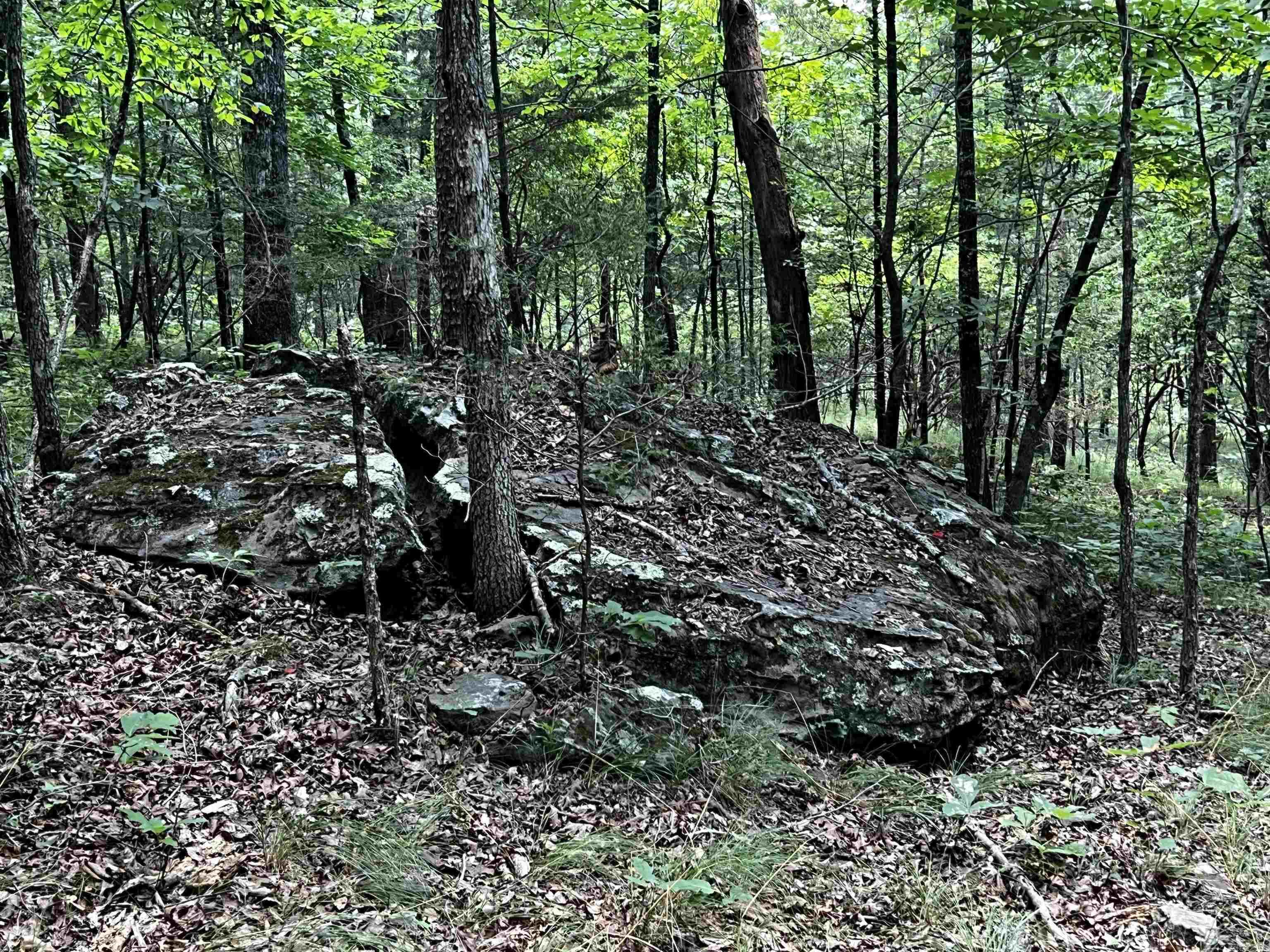 Heber Springs Area Property Photo 44