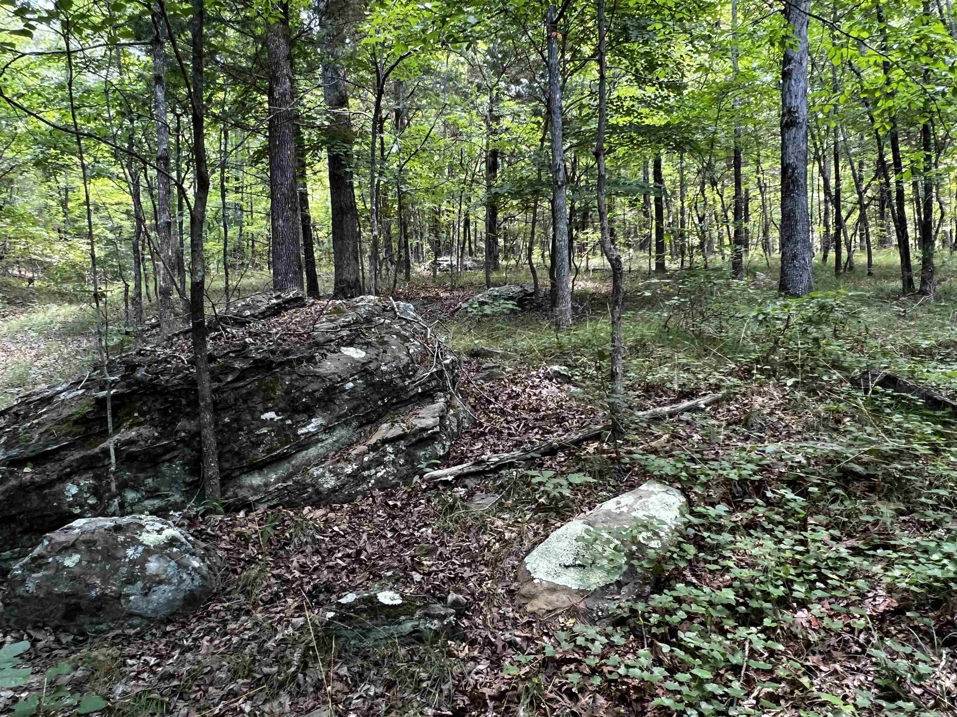 Heber Springs Area Property Photo 45