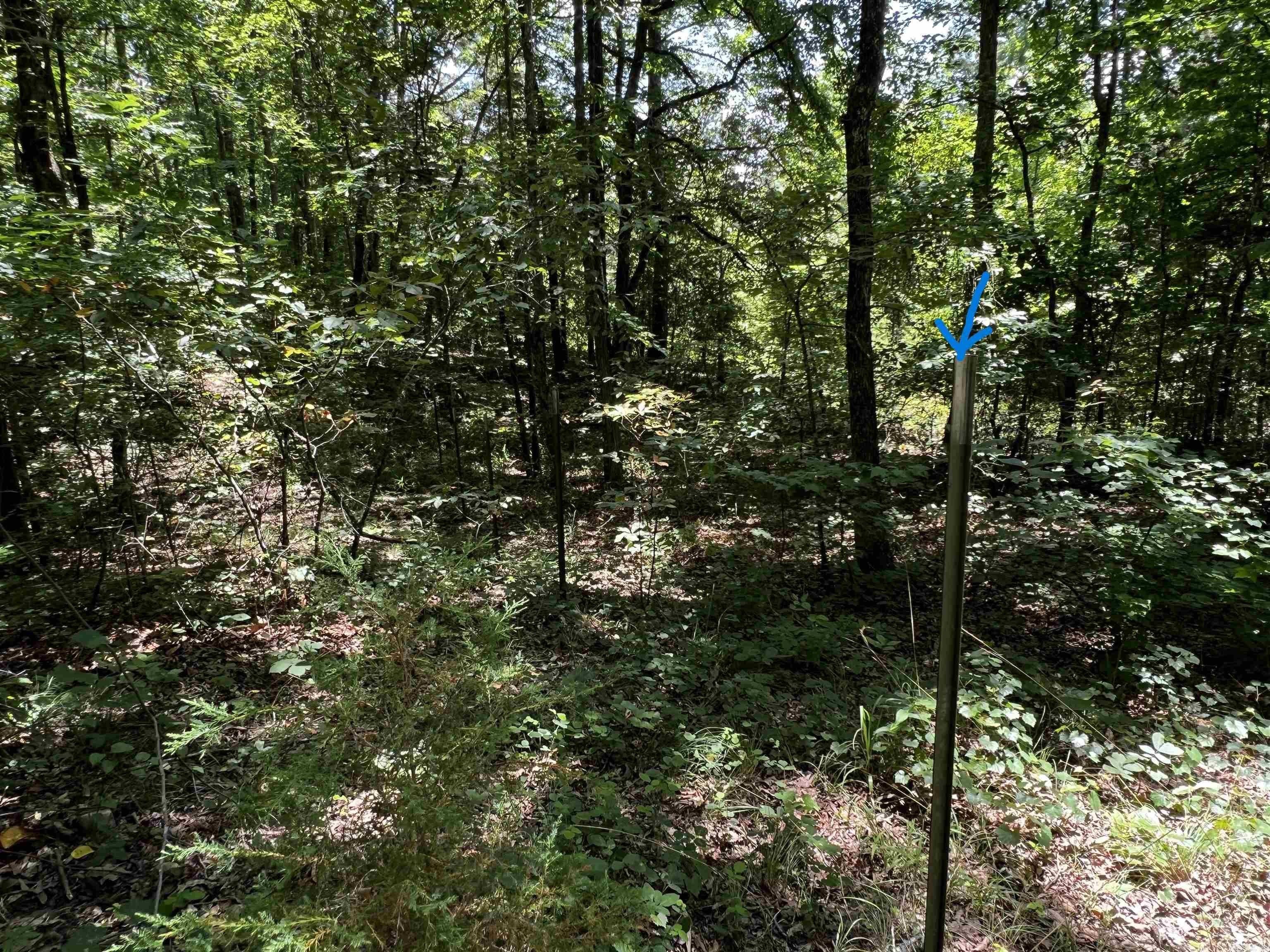 Heber Springs Area Property Photo 46