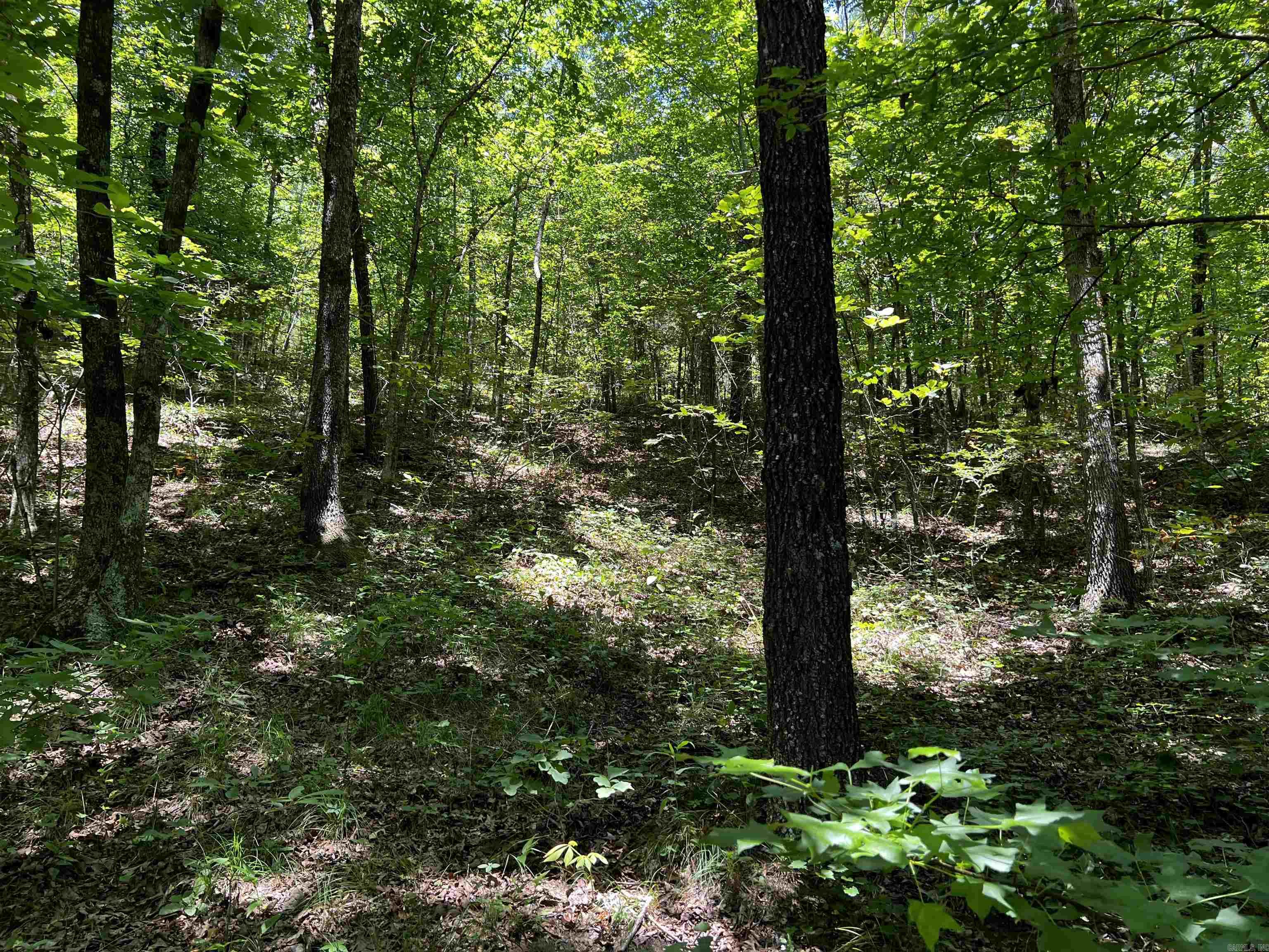 Heber Springs Area Property Photo 47