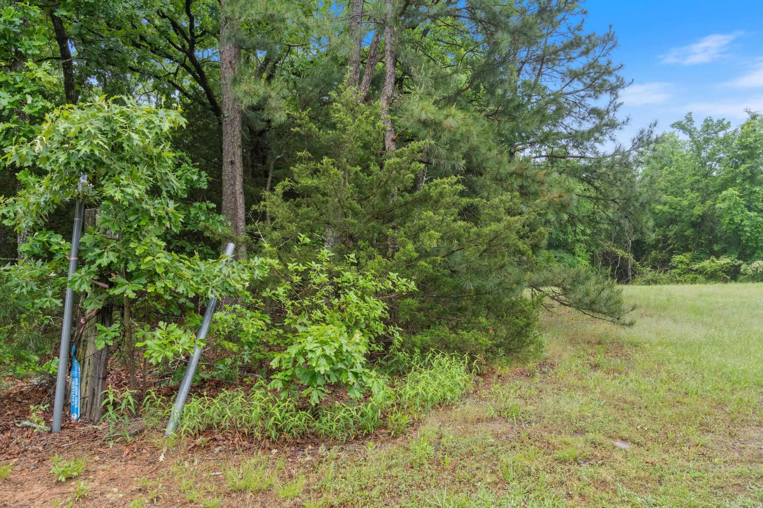 0 Beene Road Property Photo 6