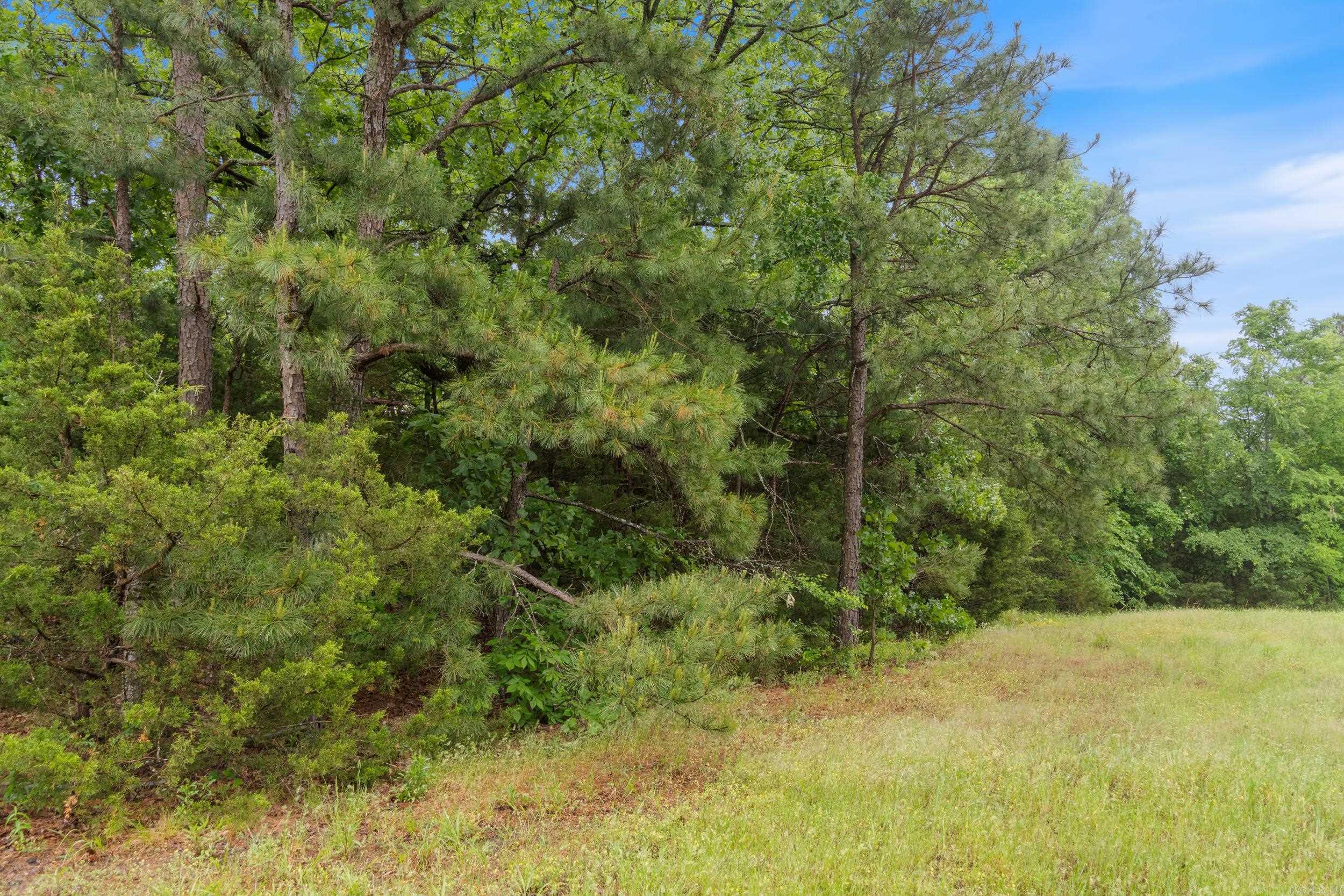 0 Beene Road Property Photo 8