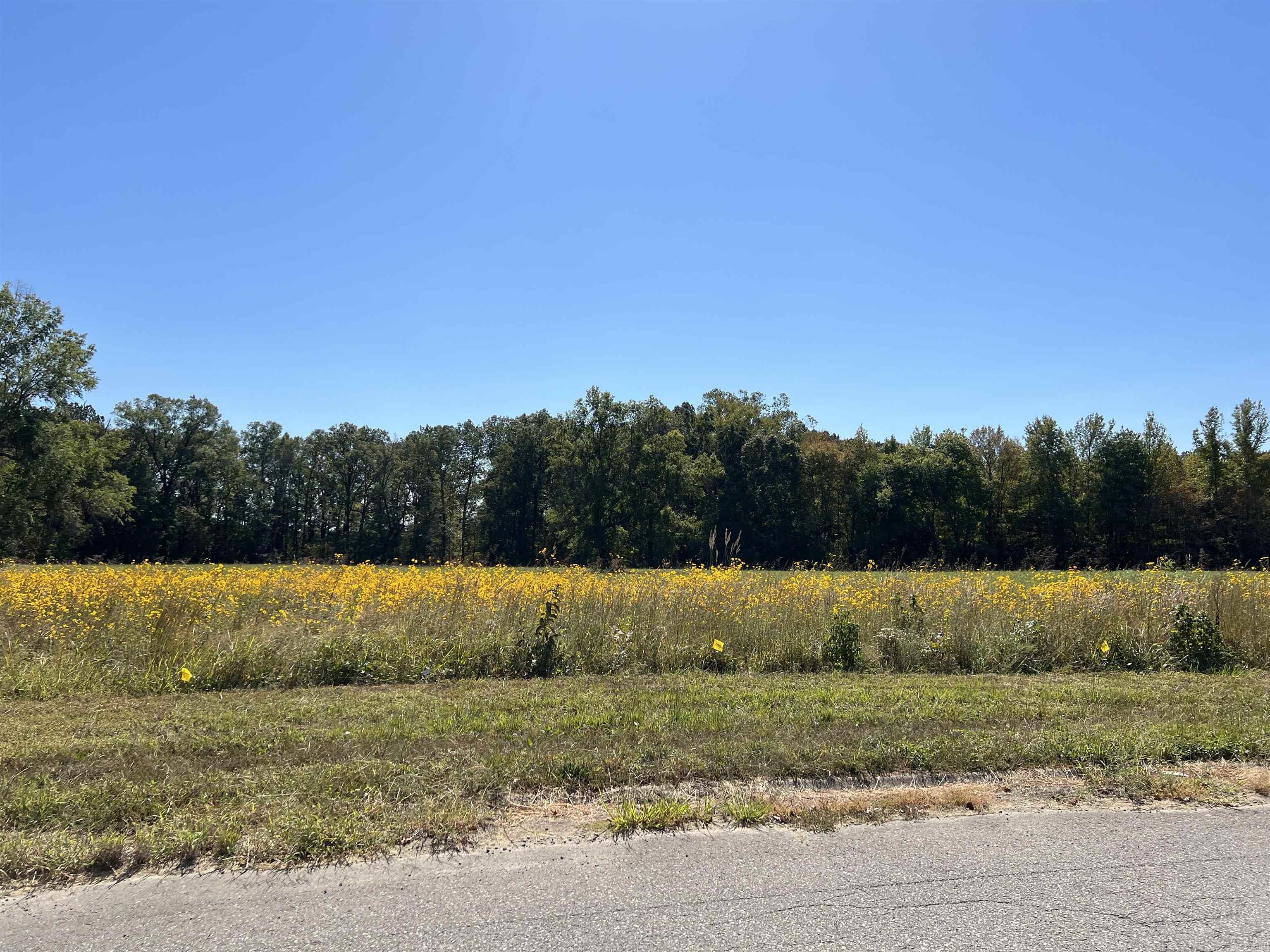 1301 Airport Loop Property Photo 3