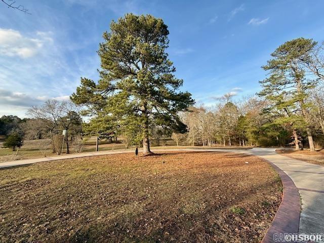 363 Old Bear Road Property Photo 28