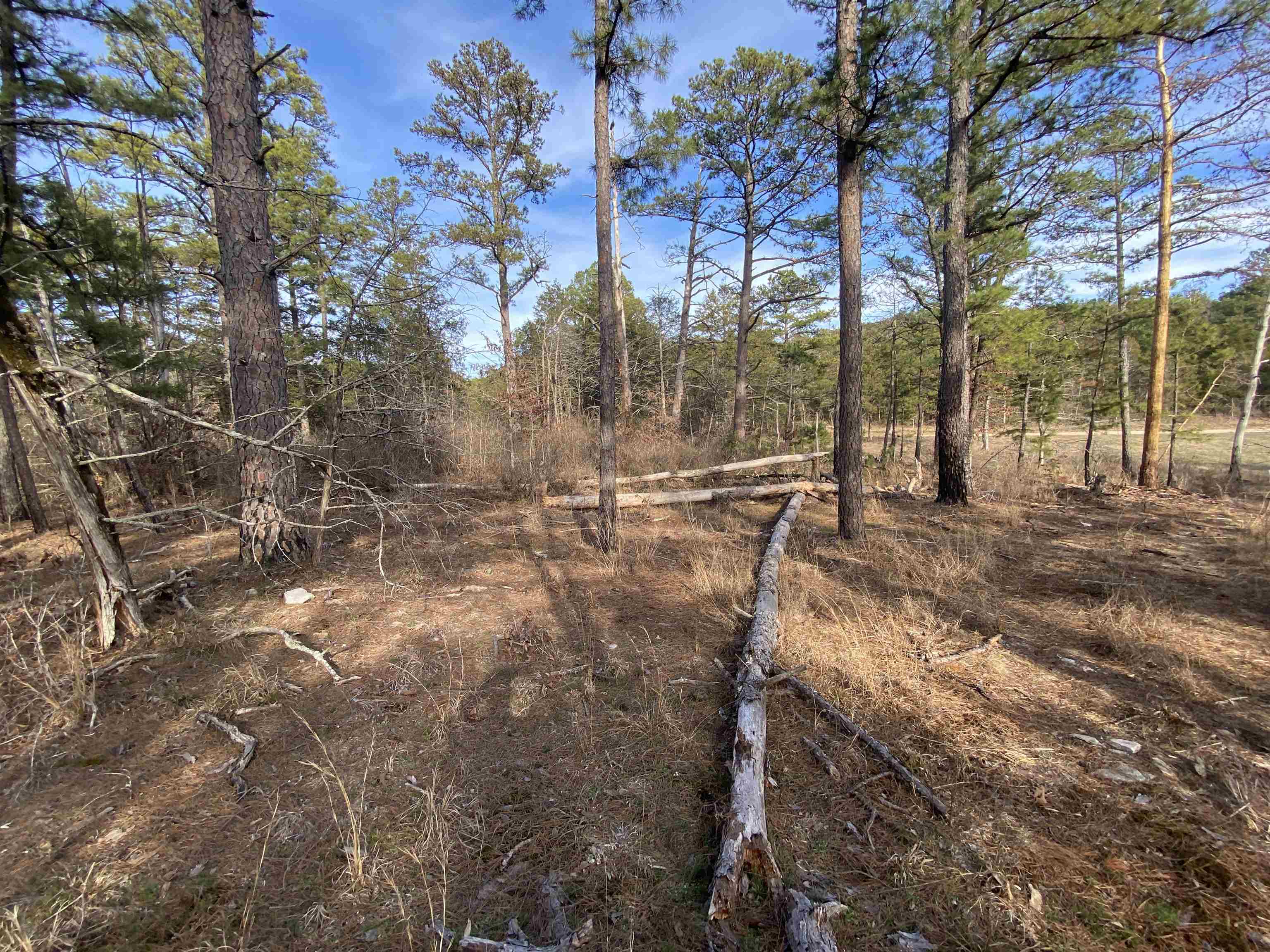400 Tree Farm Road