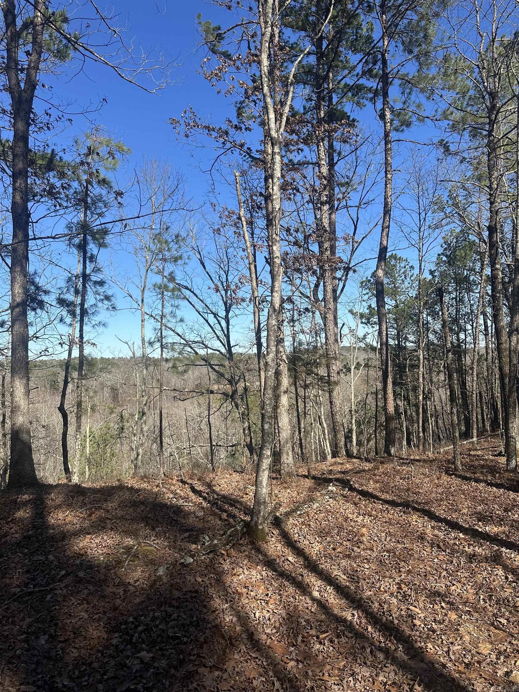 00m Walnut Valley Road Property Photo 10
