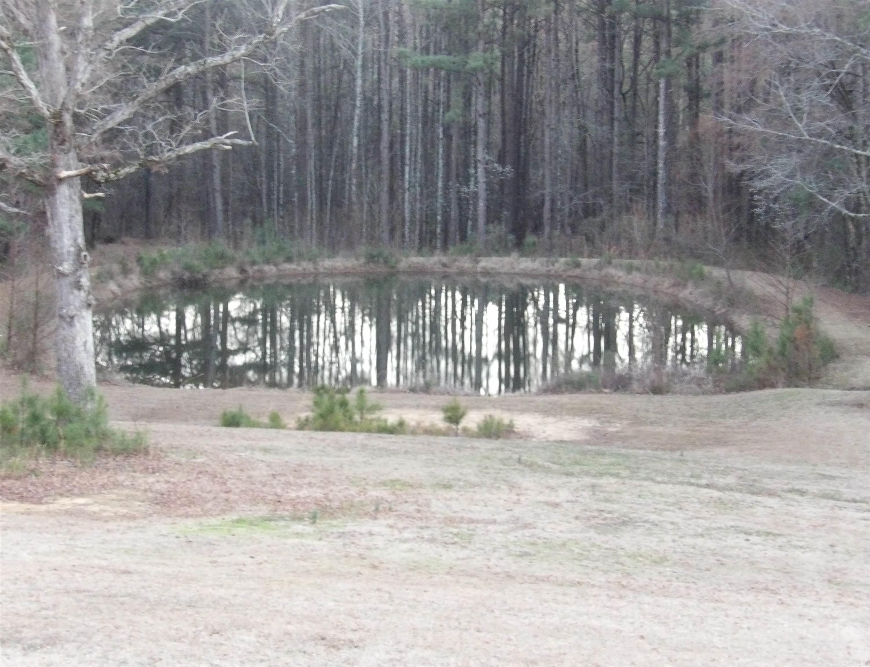 161 Windy Hills Lane Property Photo 28