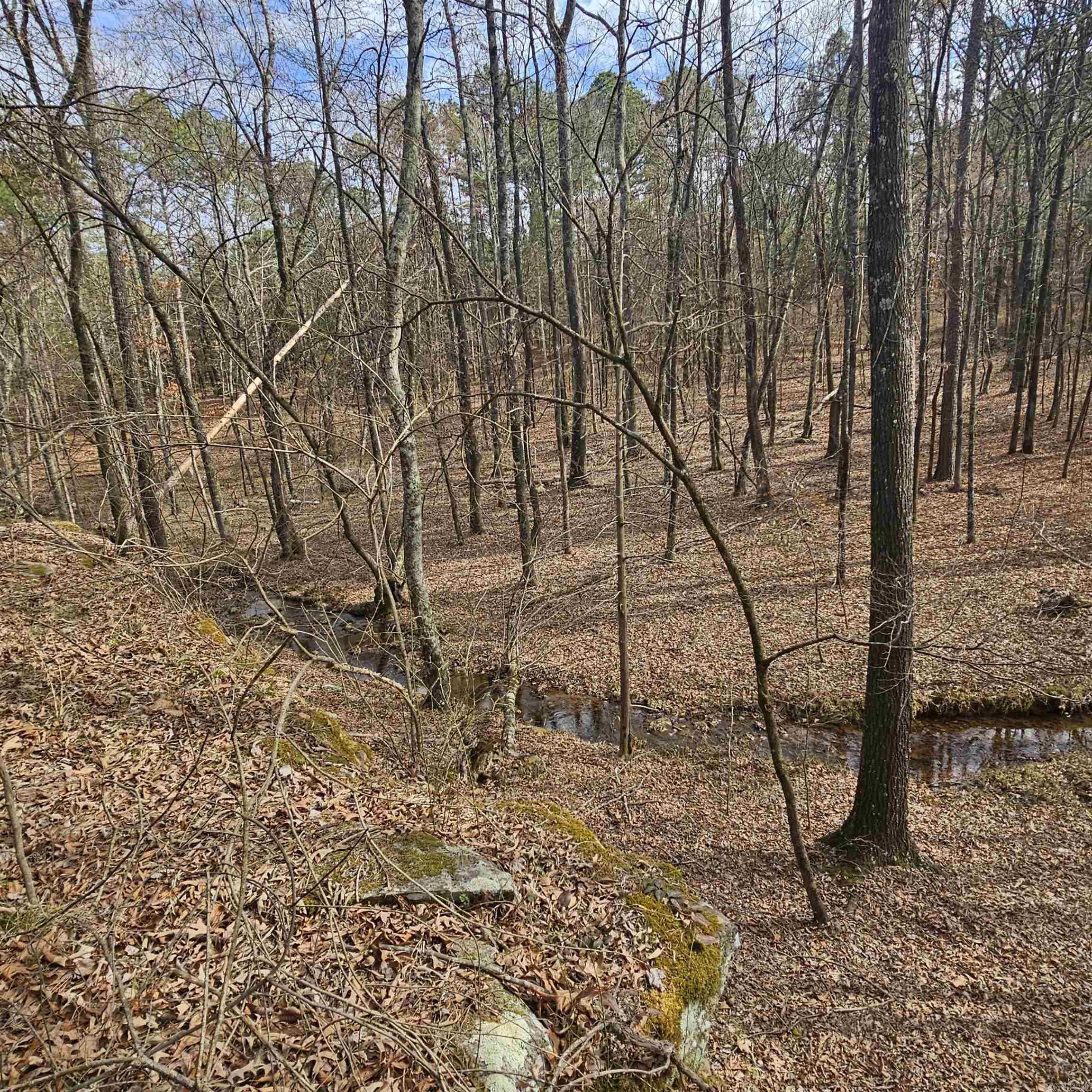 000 Flurry Road Property Photo 23
