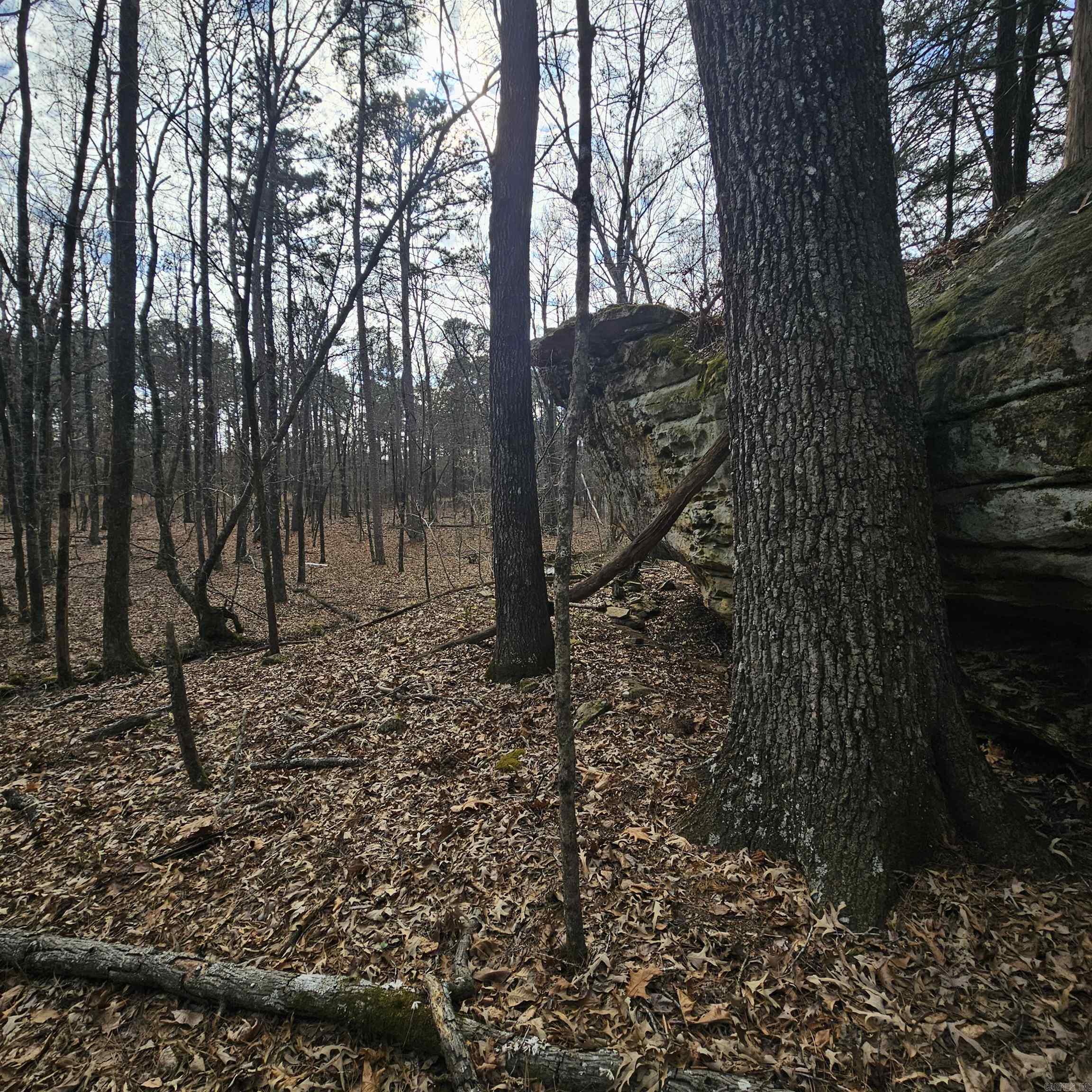 000 Flurry Road Property Photo 25