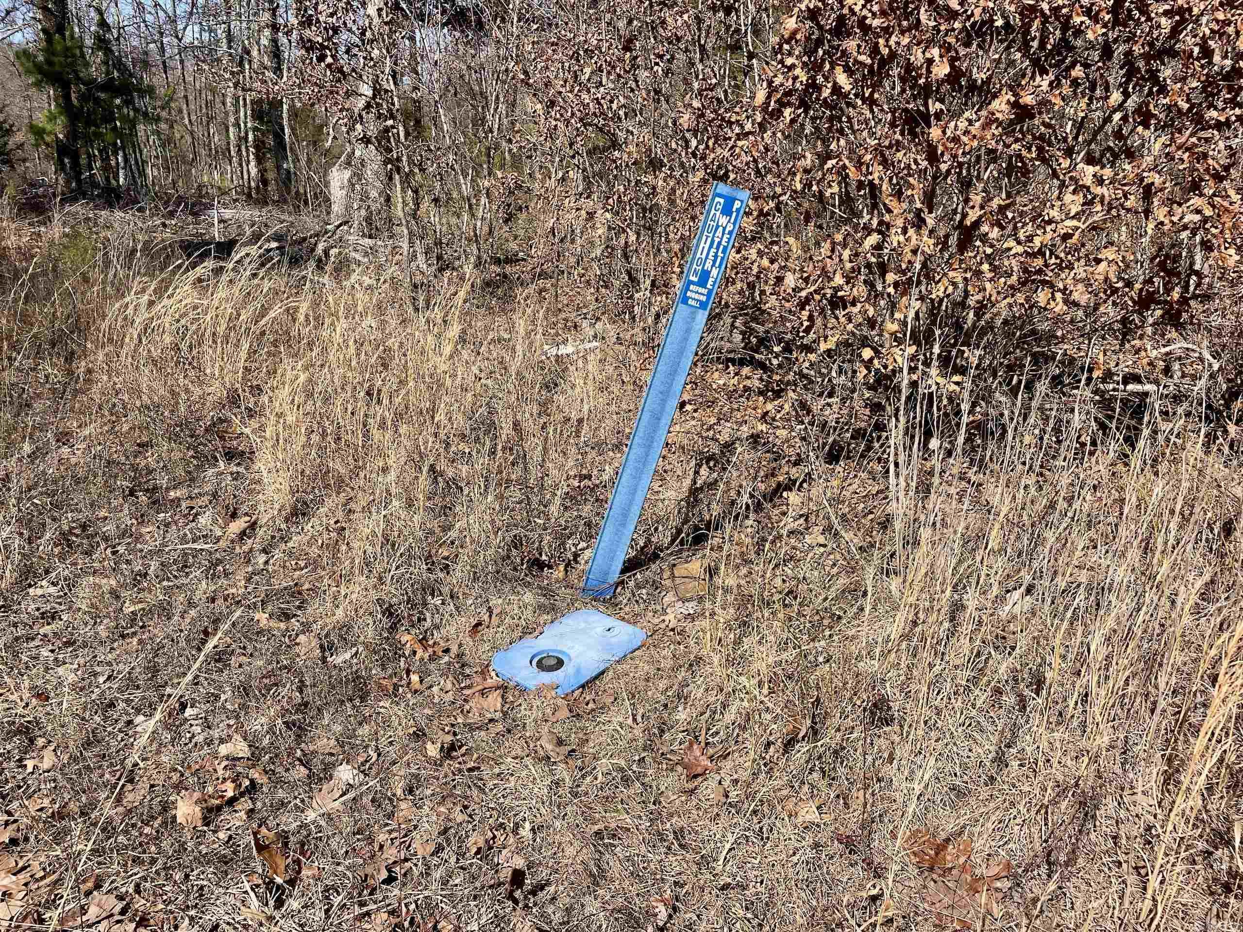 000 Hwy 254 Property Photo 5