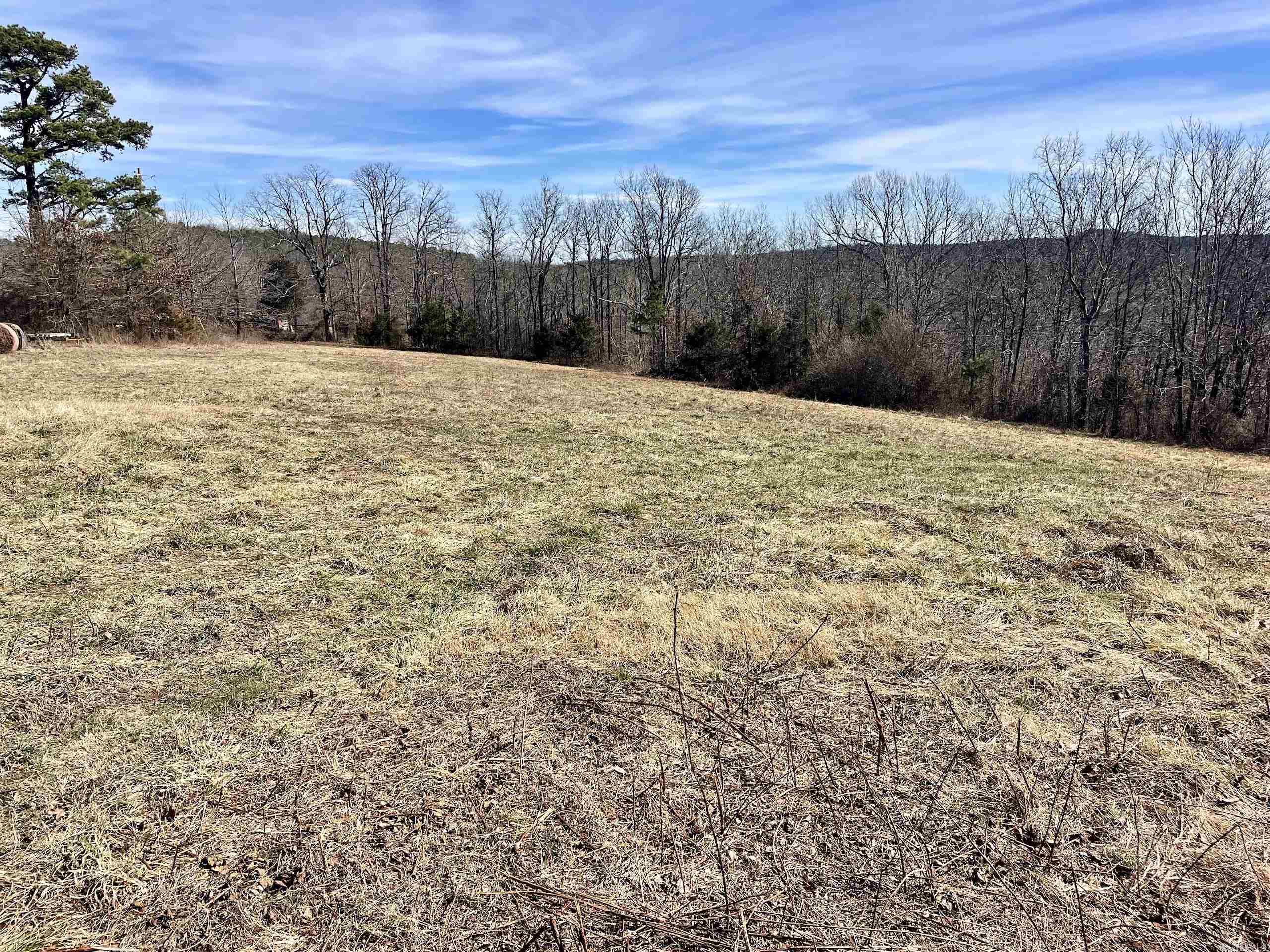 000 Hwy 254 Property Photo 11