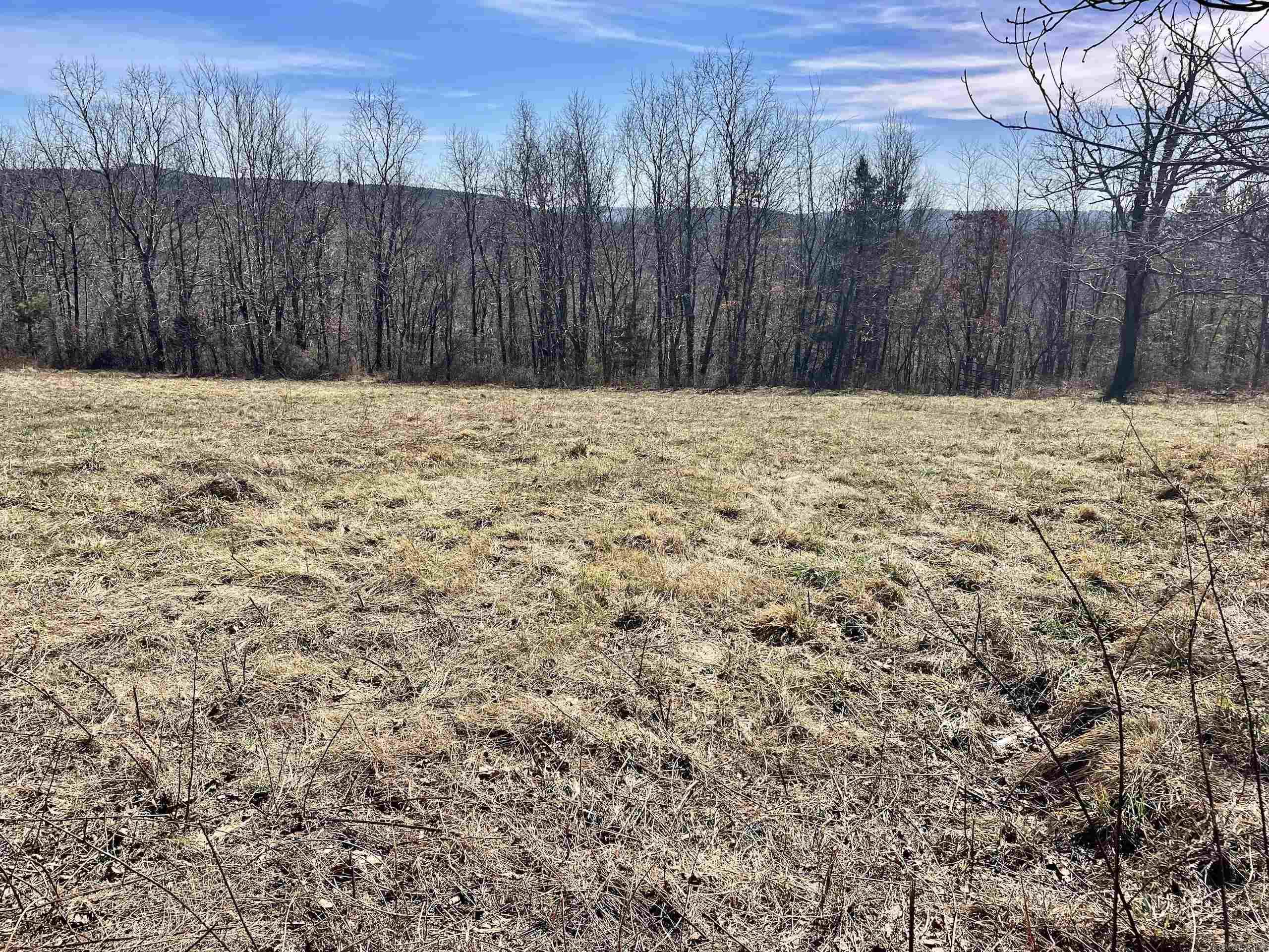 000 Hwy 254 Property Photo 12