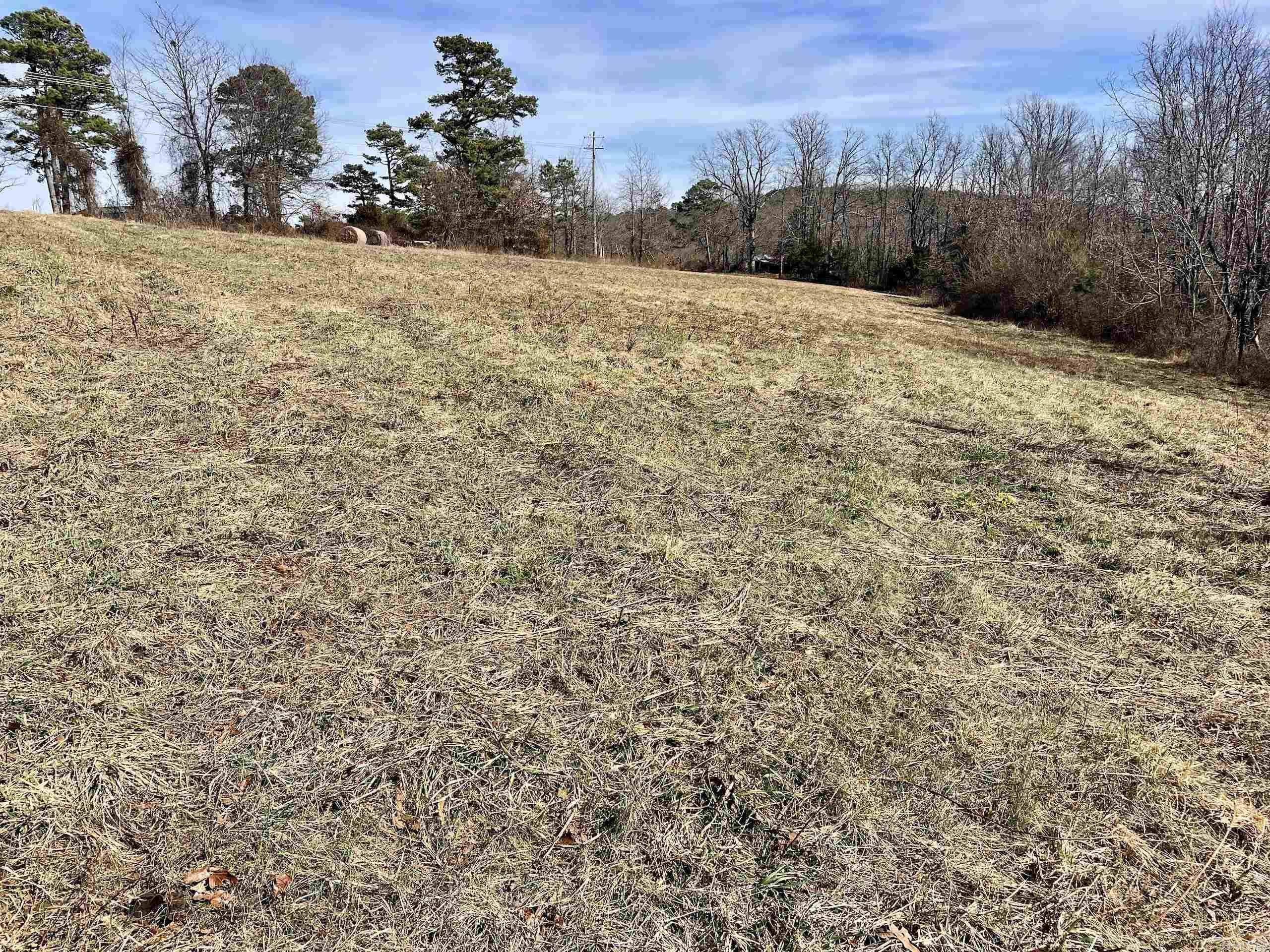 000 Hwy 254 Property Photo 13