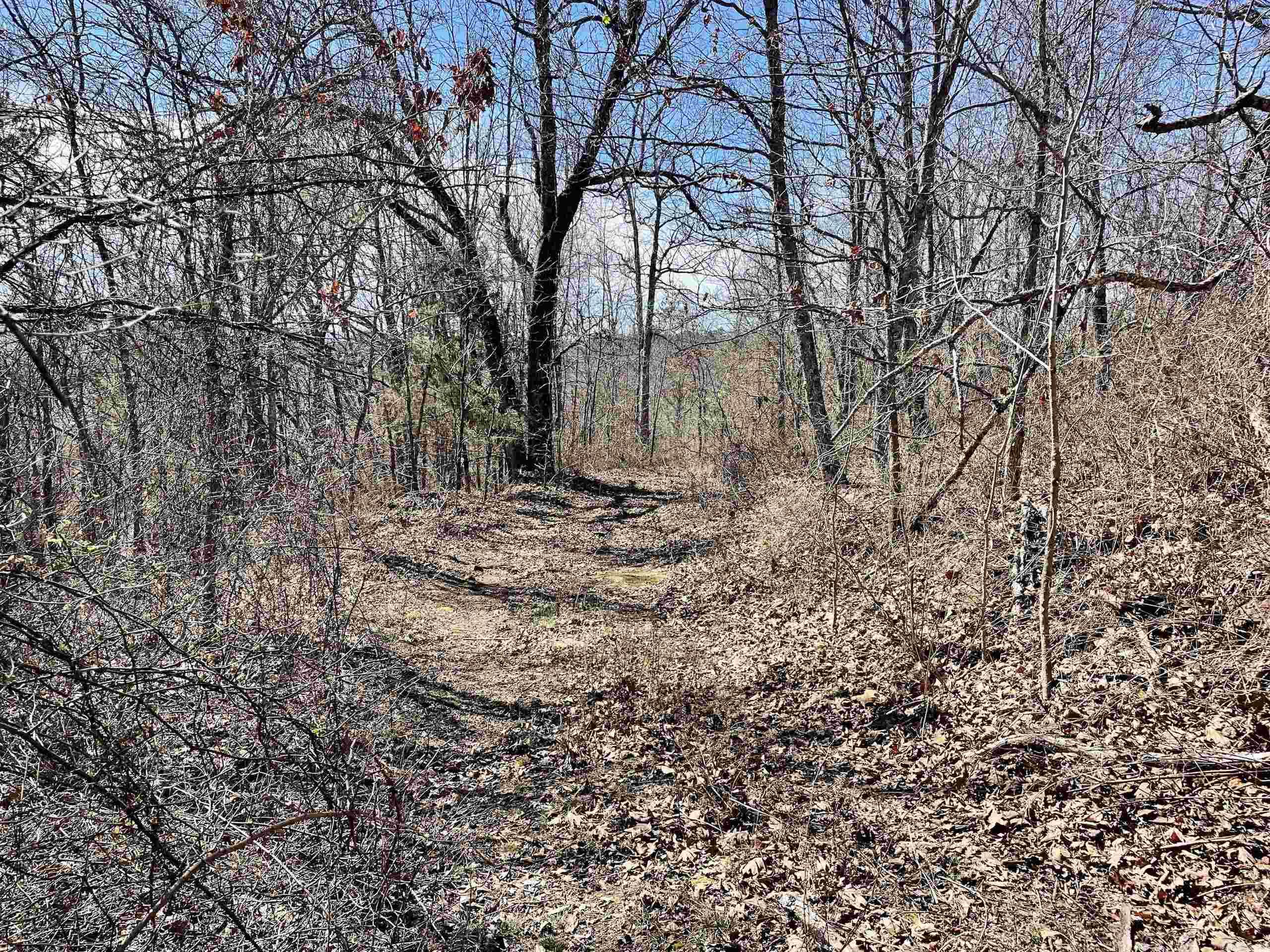 000 Hwy 254 Property Photo 14