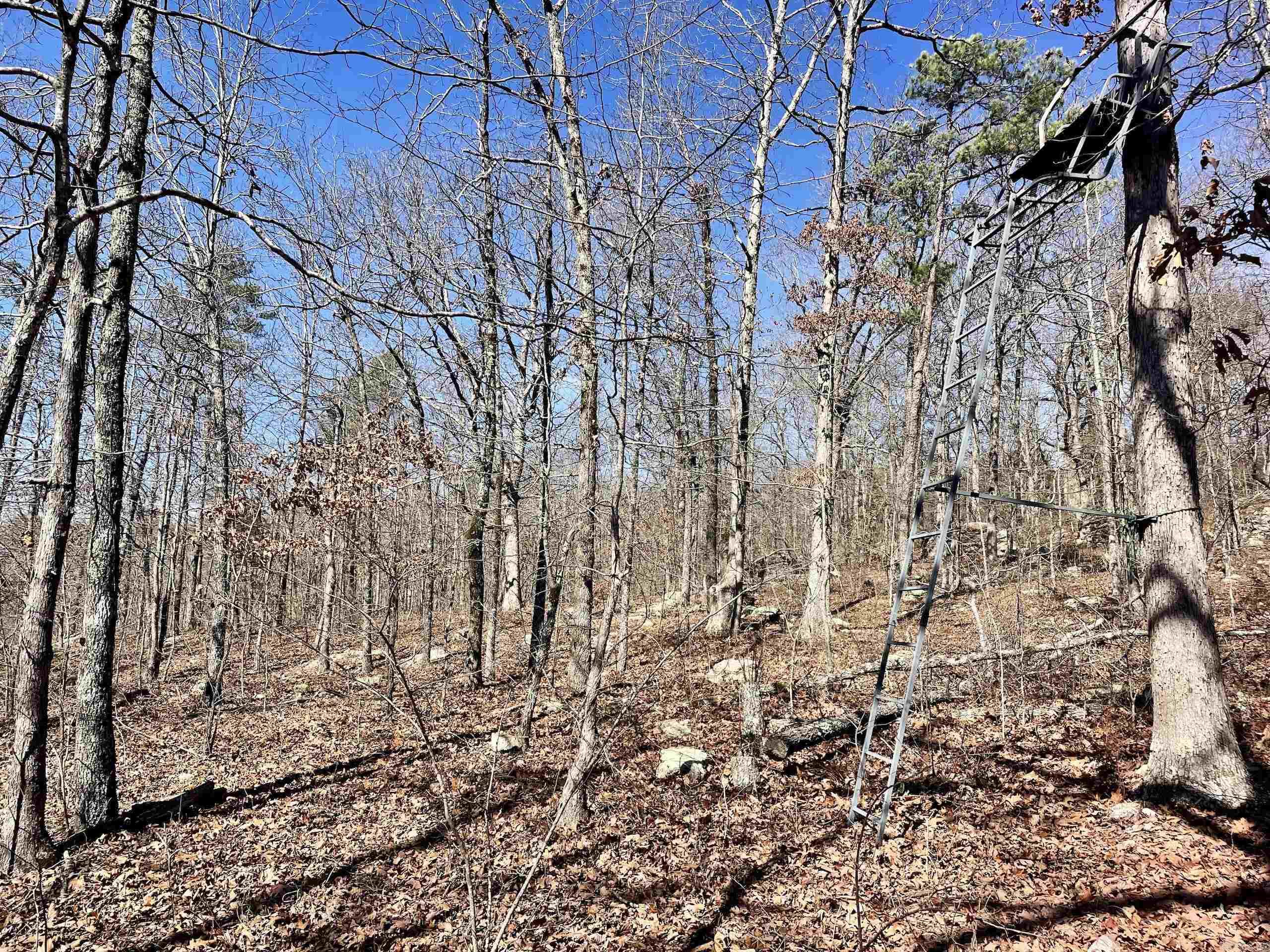 000 Hwy 254 Property Photo 16
