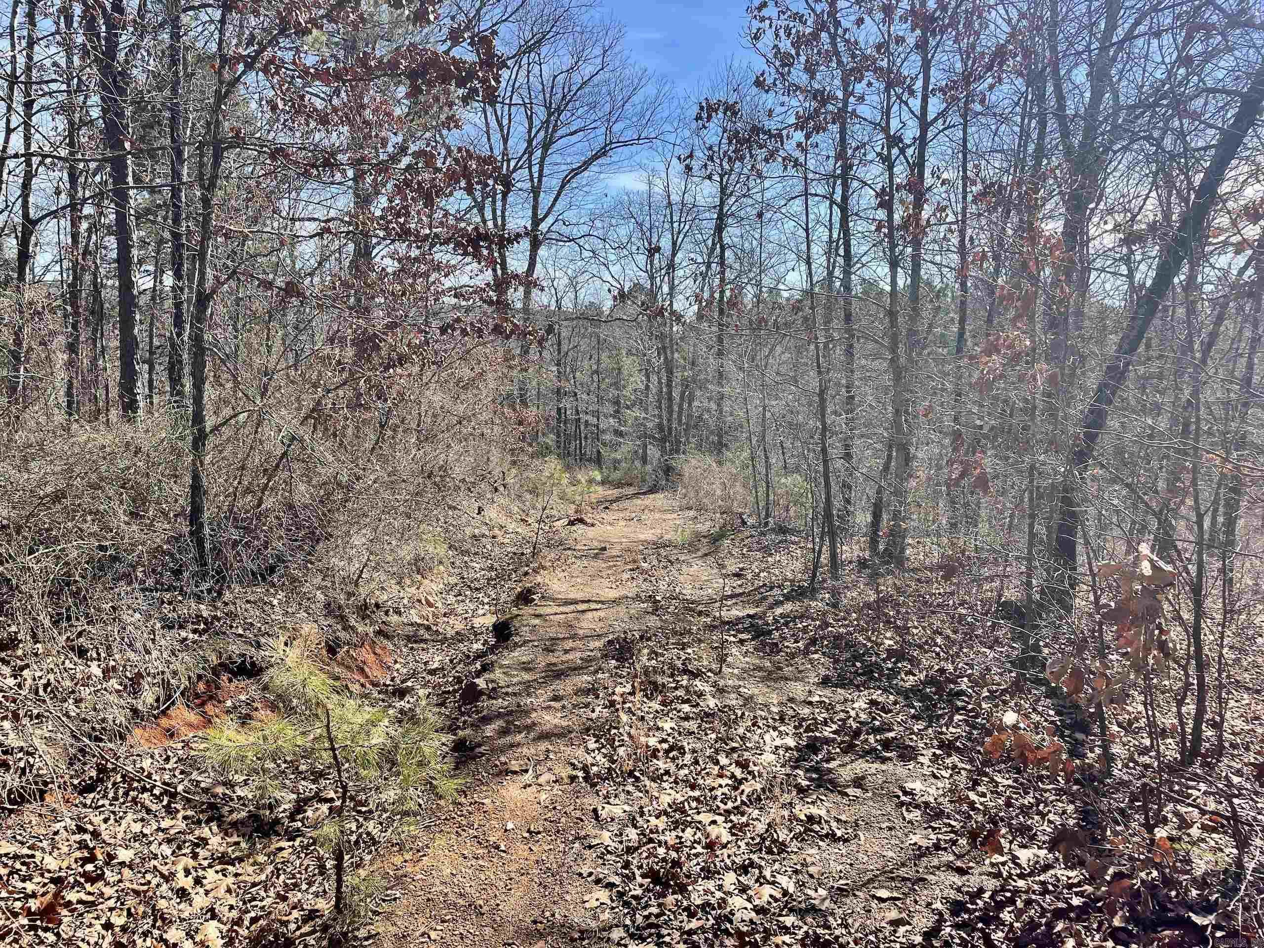 000 Hwy 254 Property Photo 17