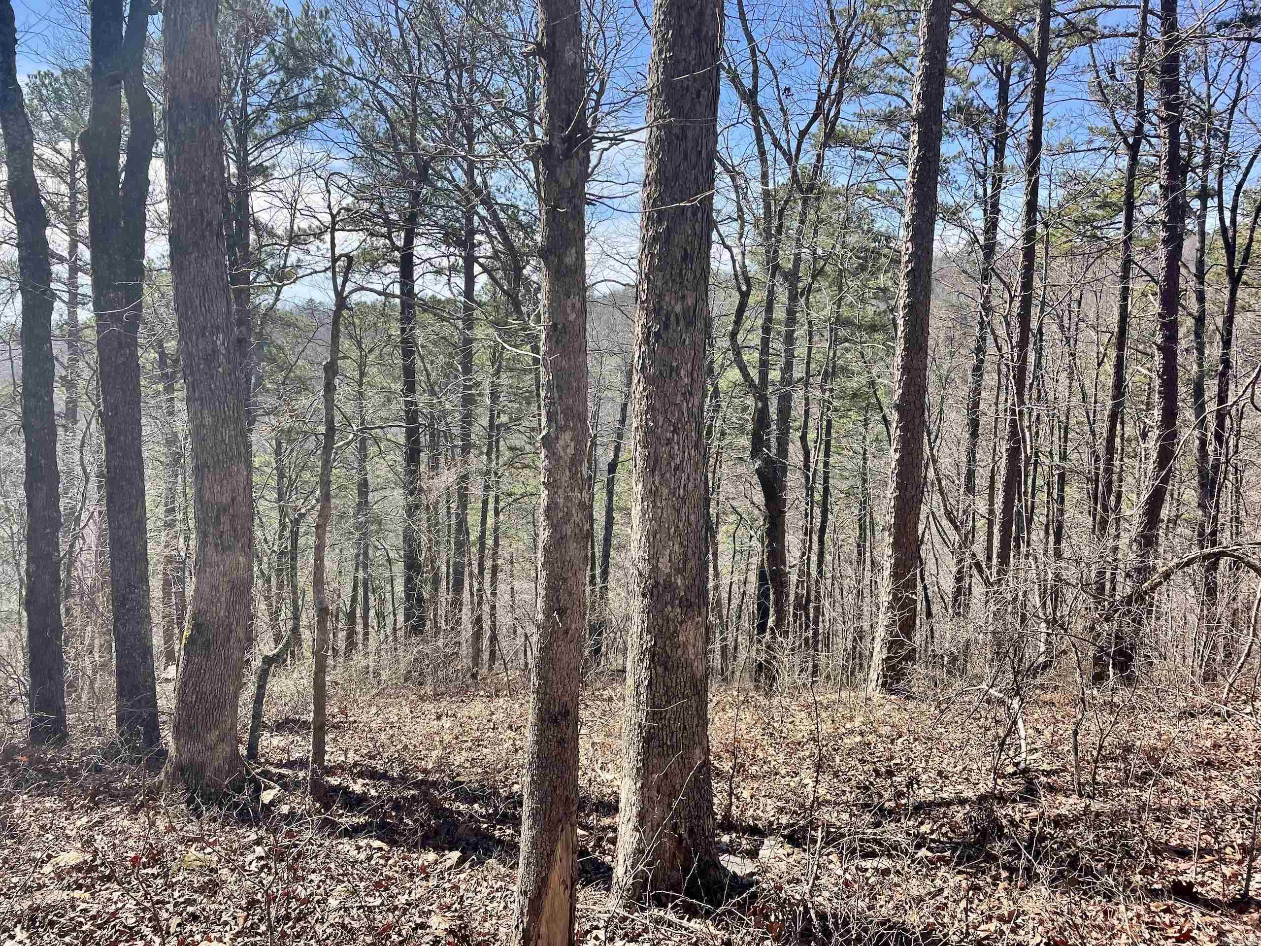 000 Hwy 254 Property Photo 23
