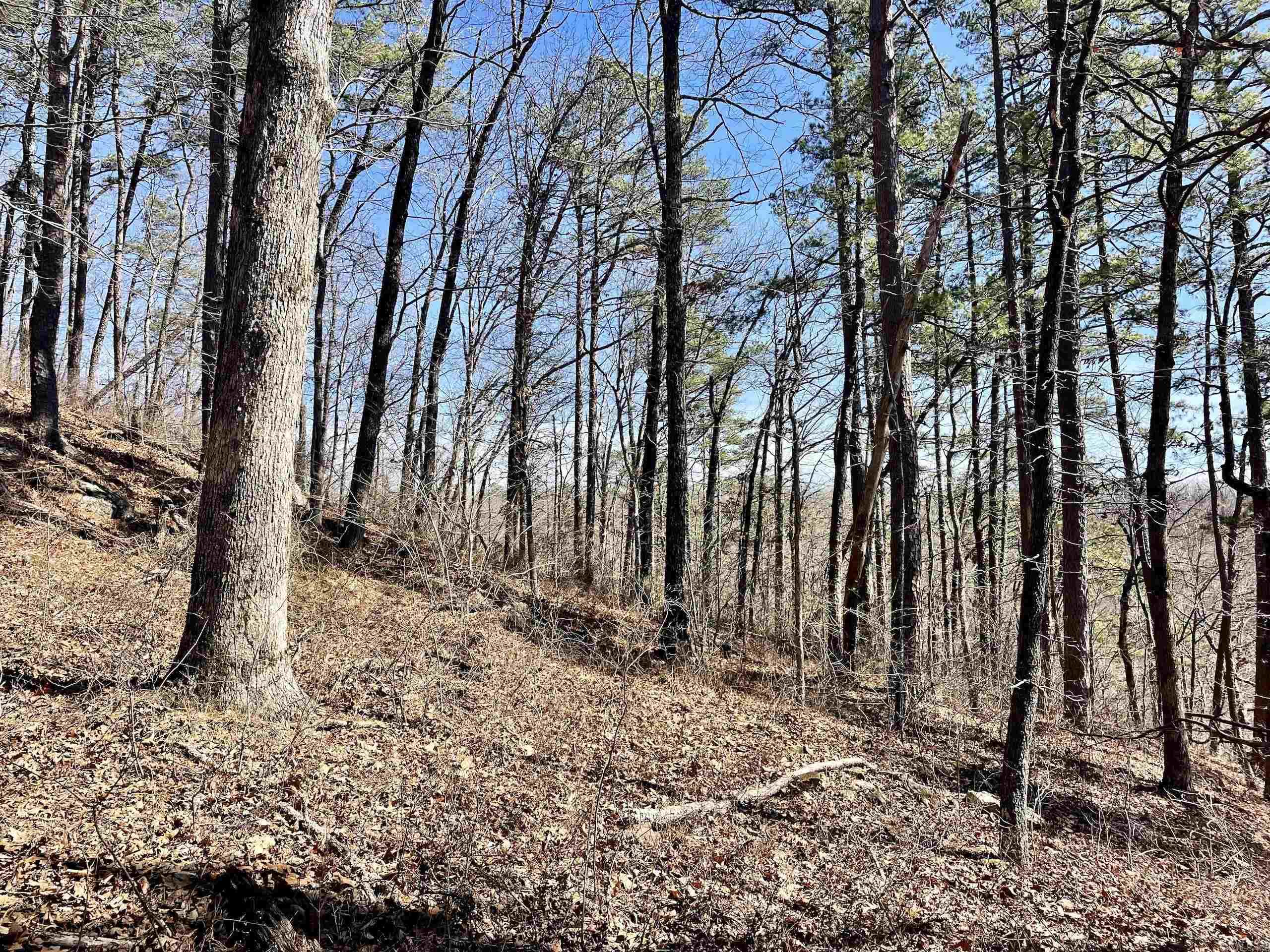 000 Hwy 254 Property Photo 26