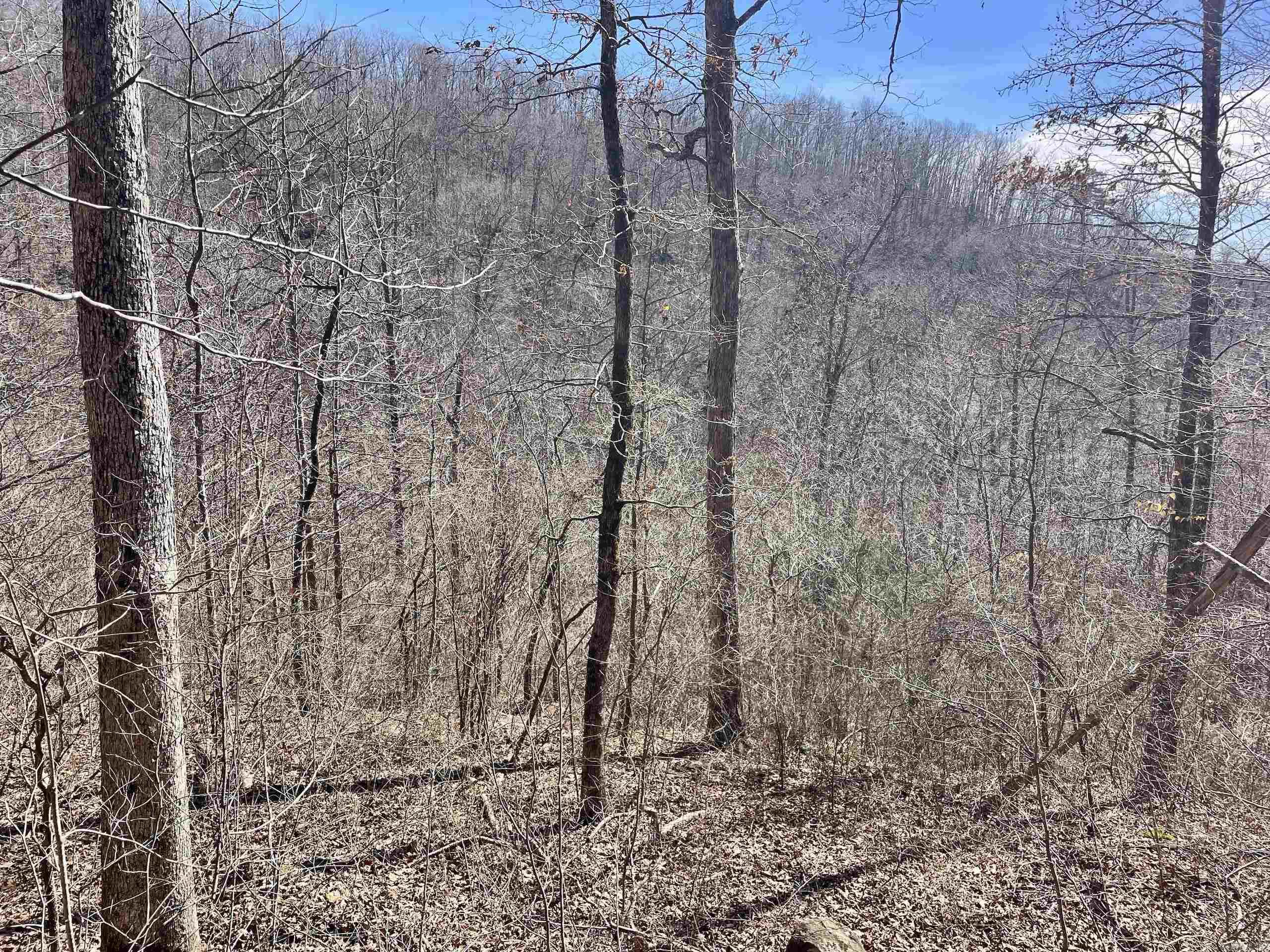 000 Hwy 254 Property Photo 28