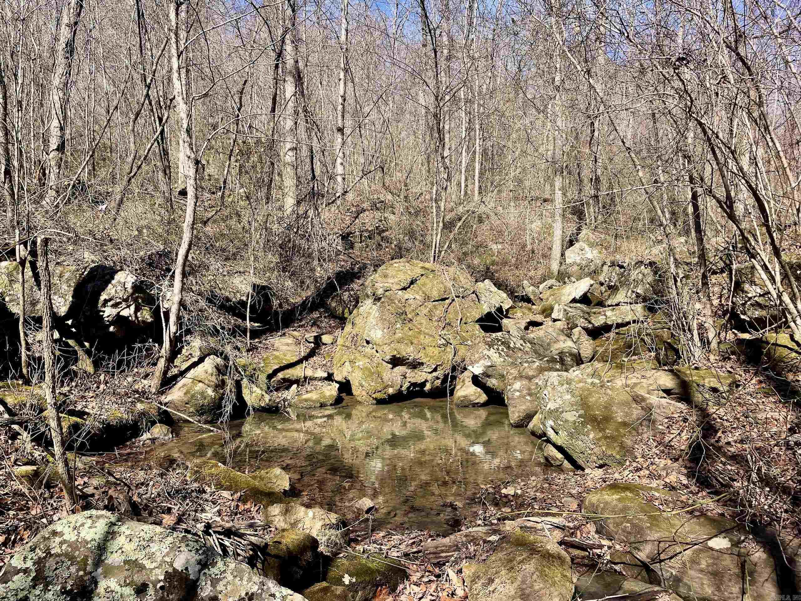 000 Hwy 254 Property Photo 32
