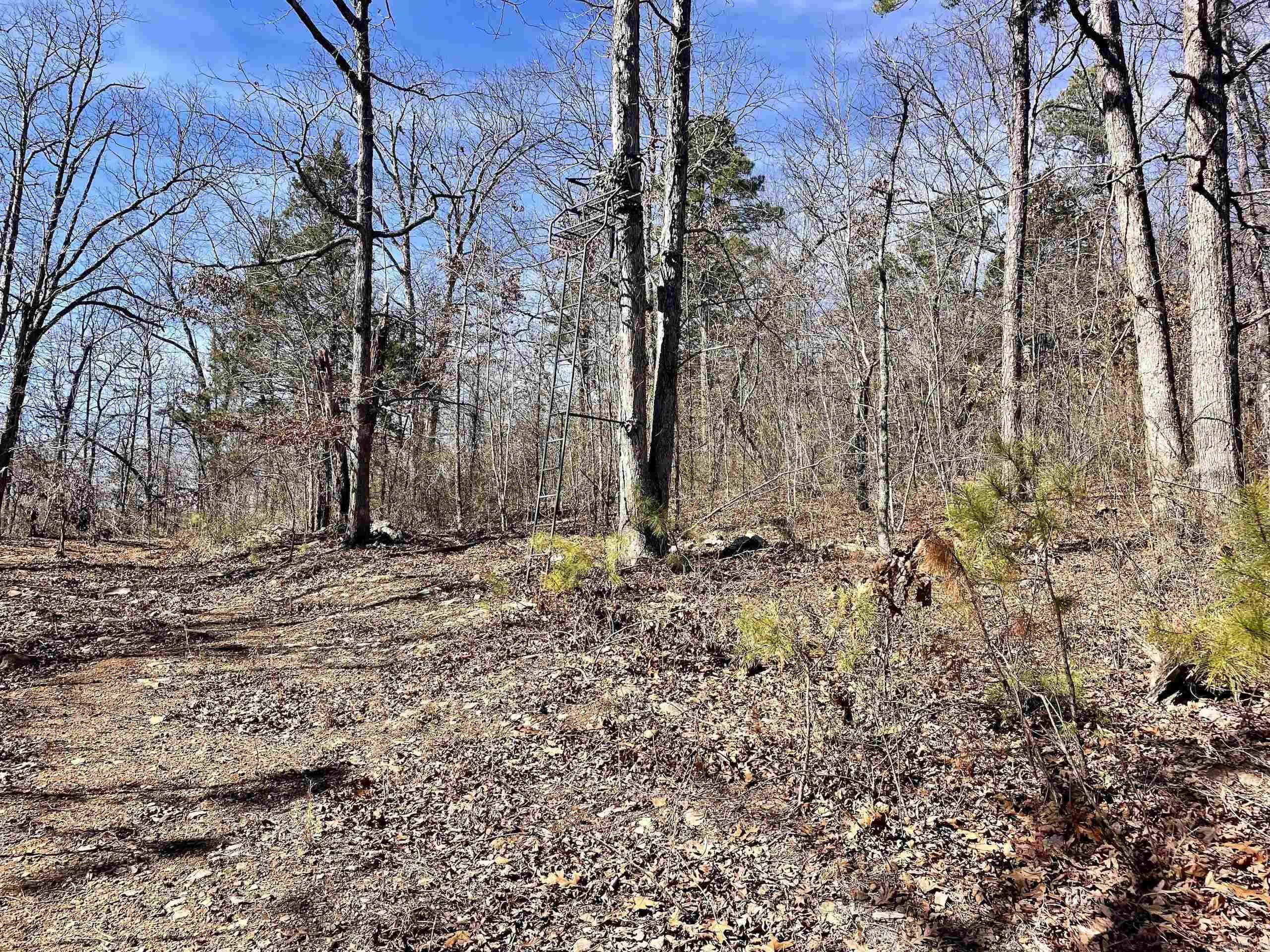 000 Hwy 254 Property Photo 38