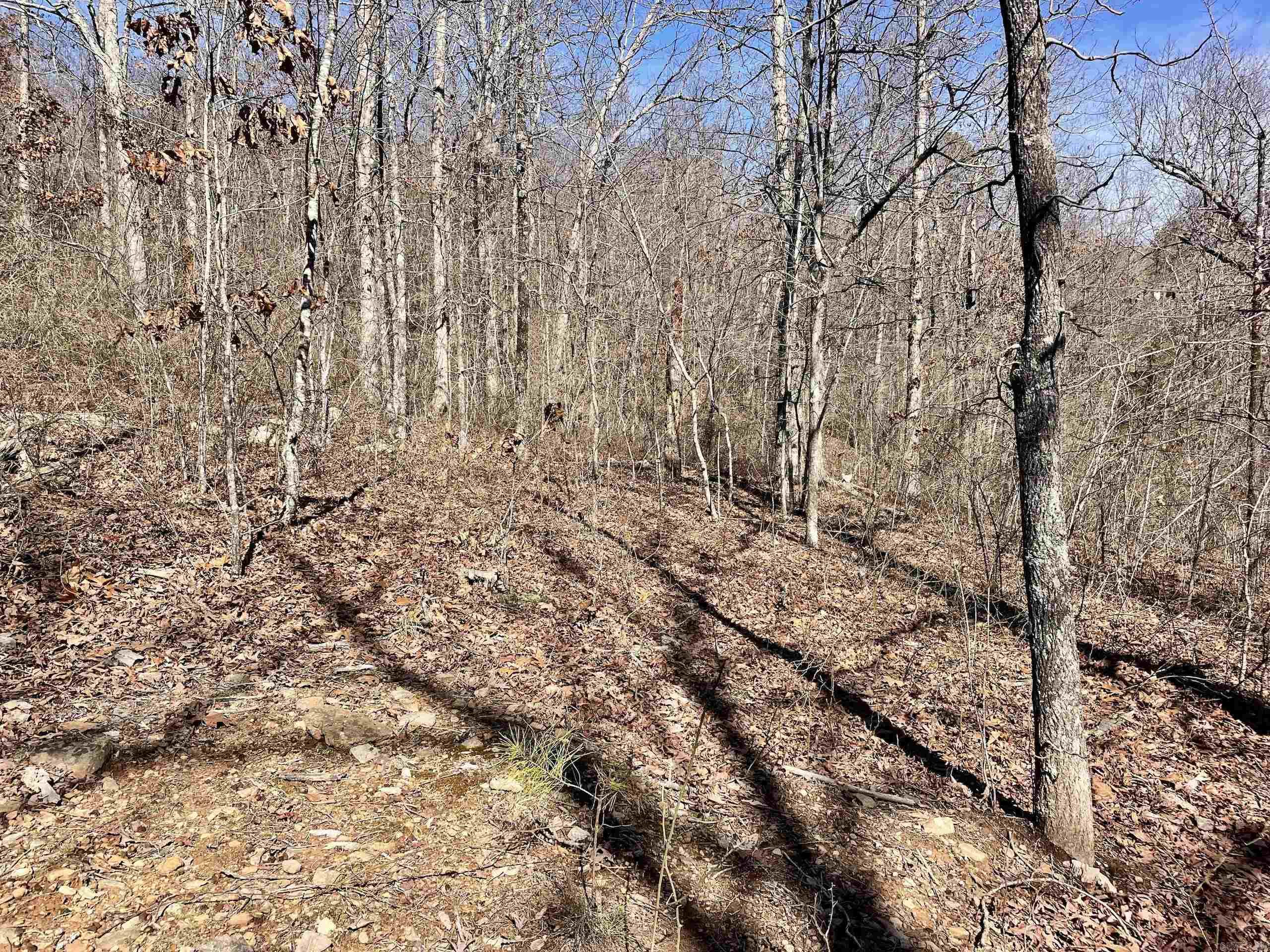 000 Hwy 254 Property Photo 39