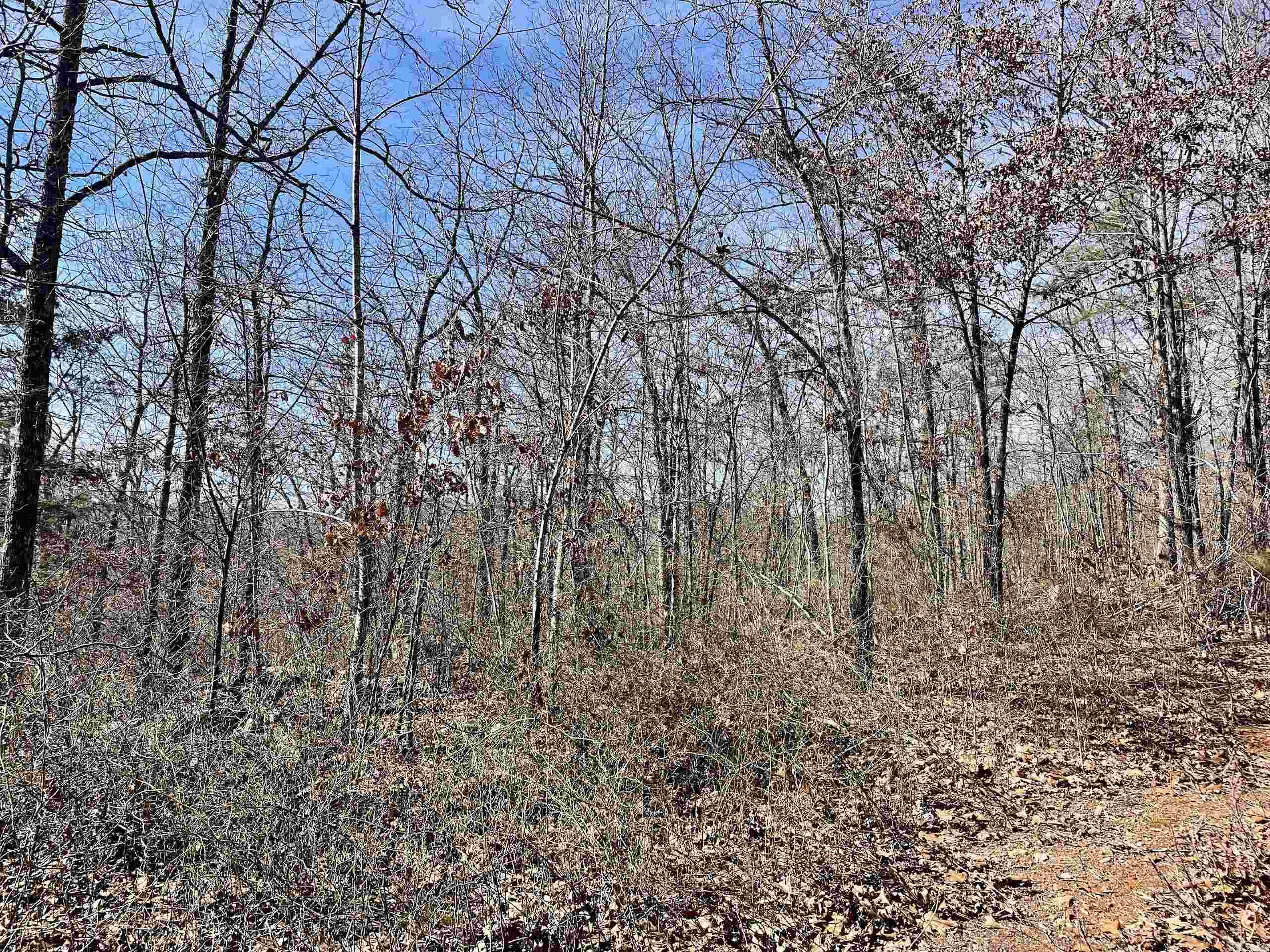 000 Hwy 254 Property Photo 40
