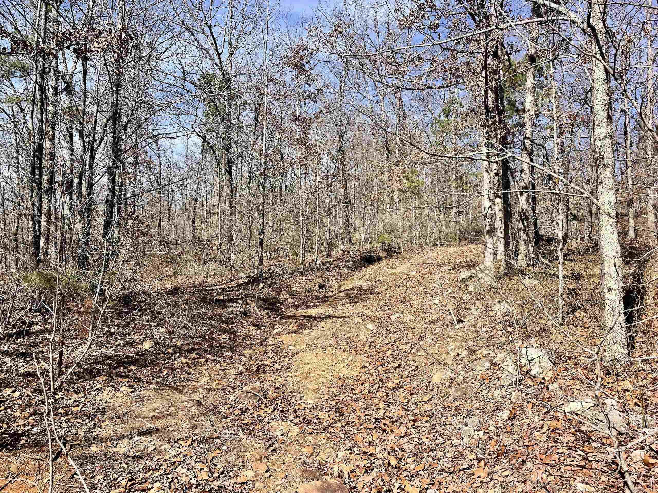 000 Hwy 254 Property Photo 41