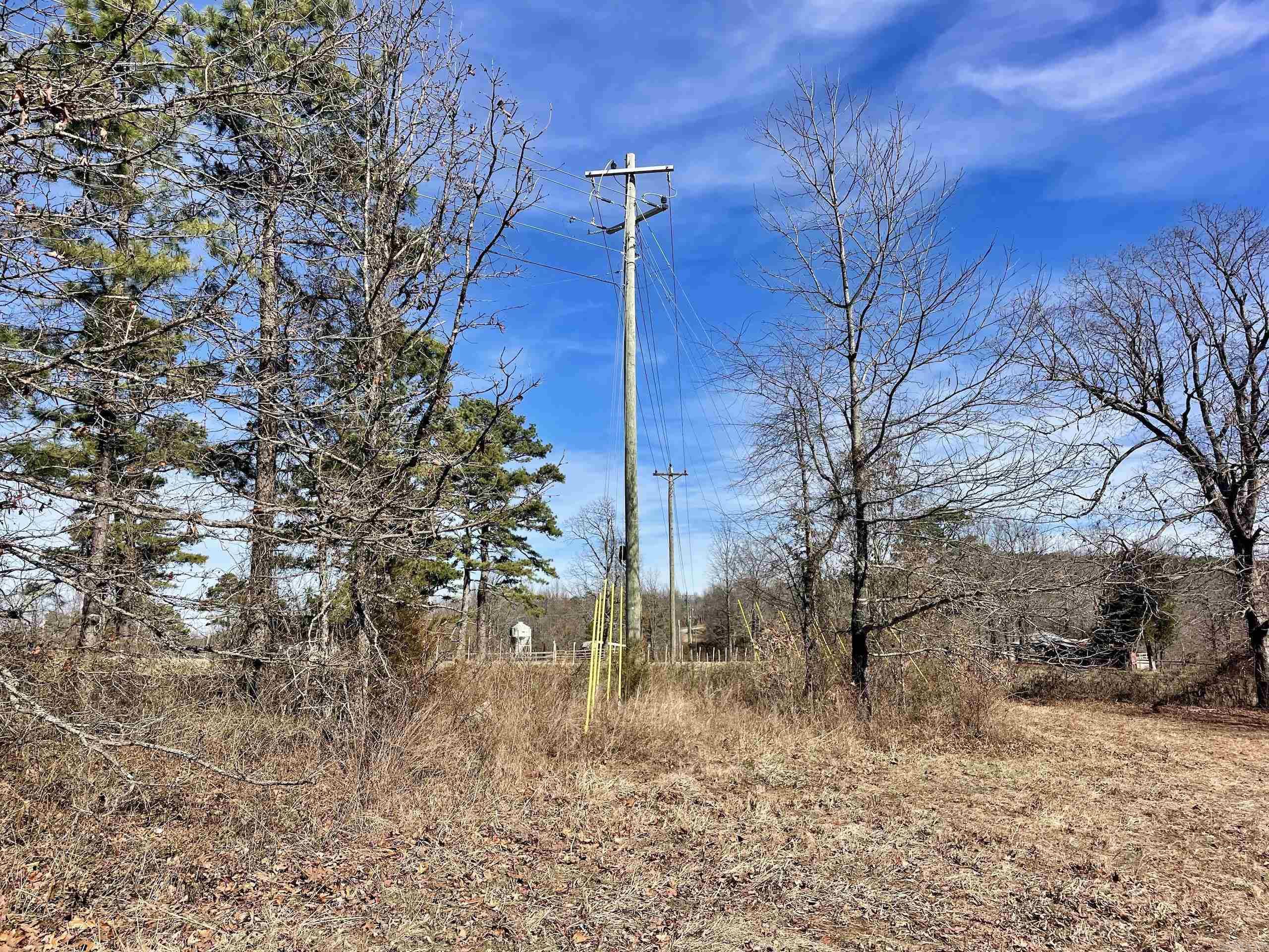 000 Hwy 254 Property Photo 42
