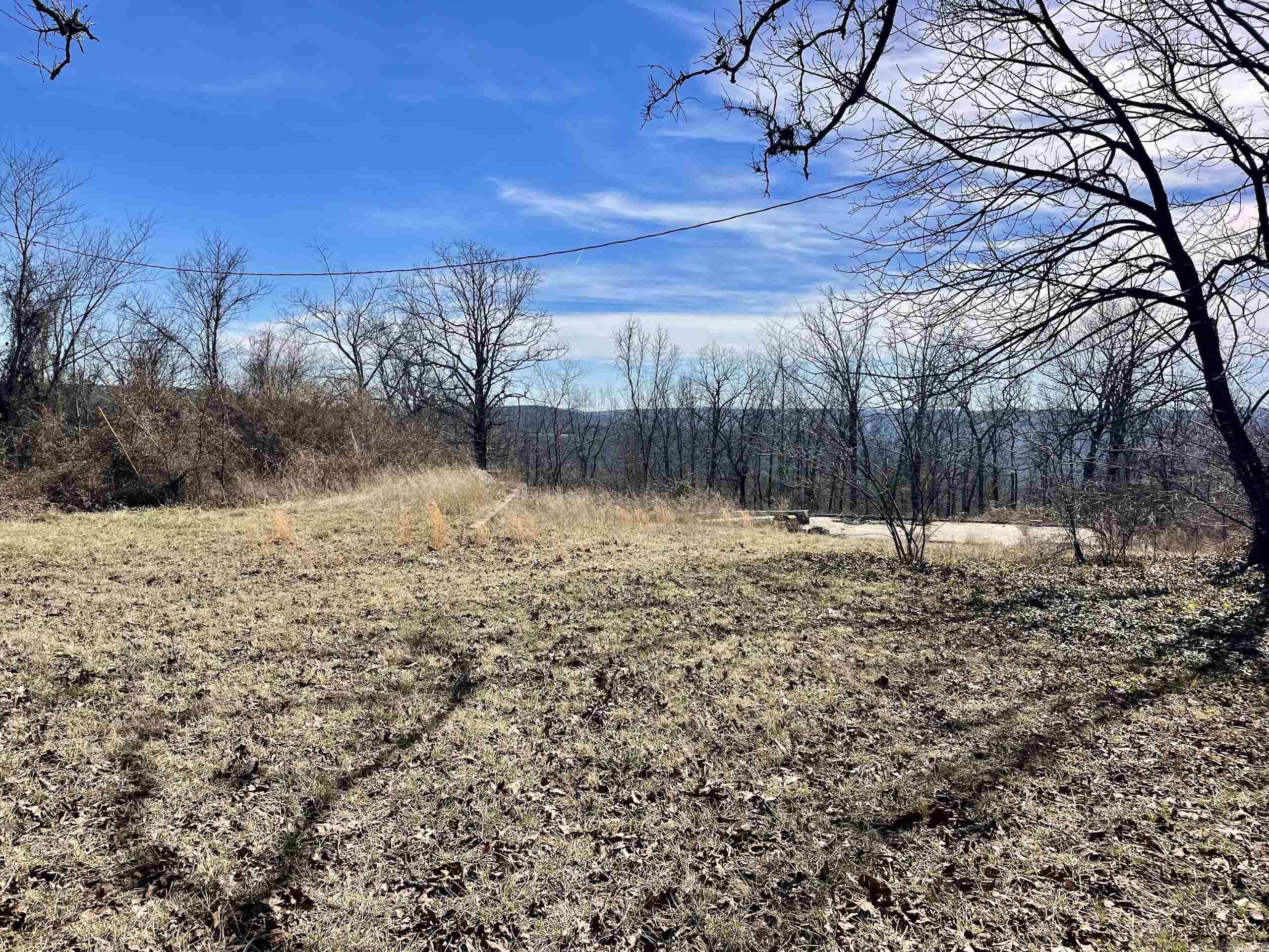 000 Hwy 254 Property Photo 43