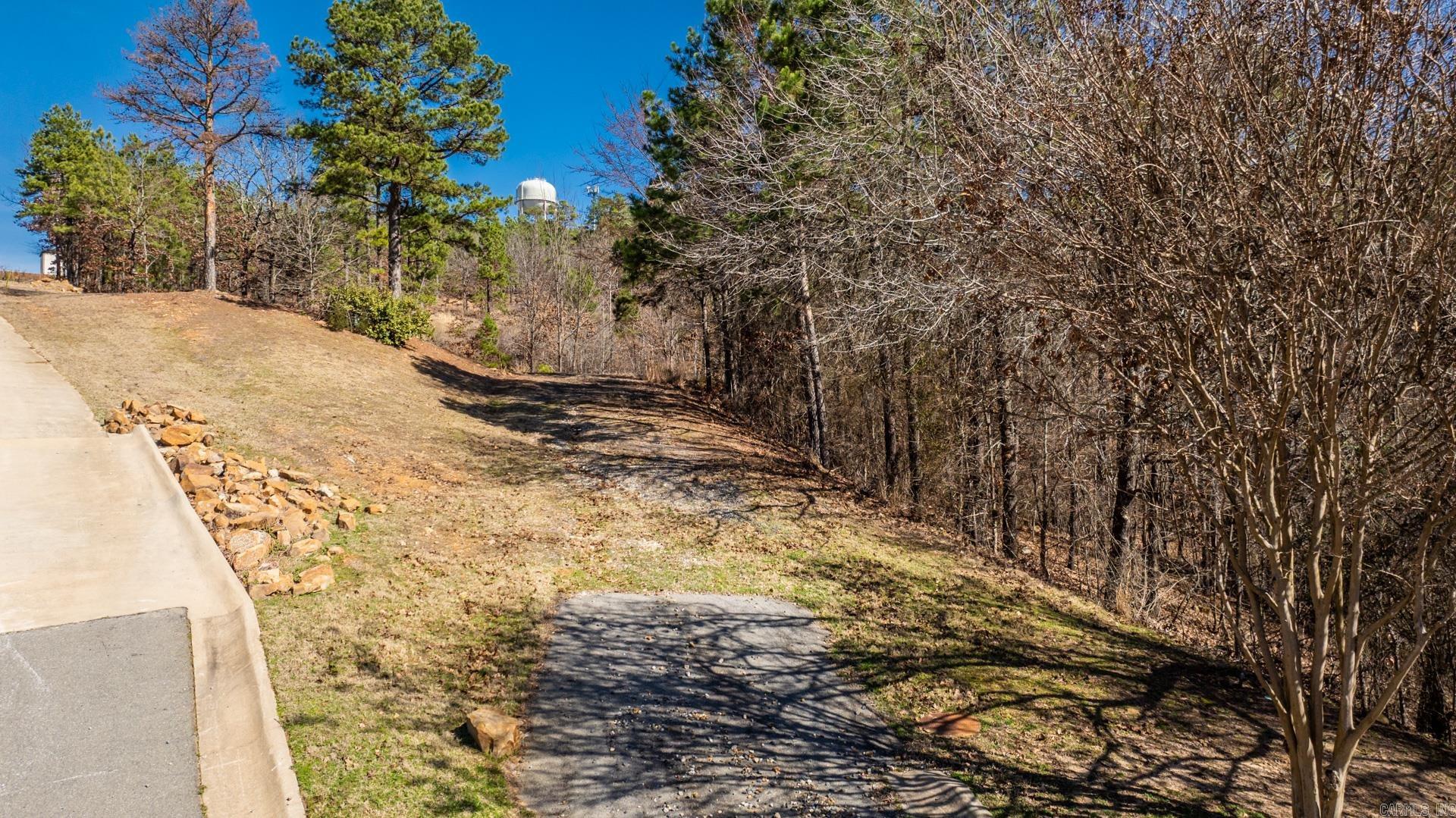 14000 Mountain River Drive Property Photo 3