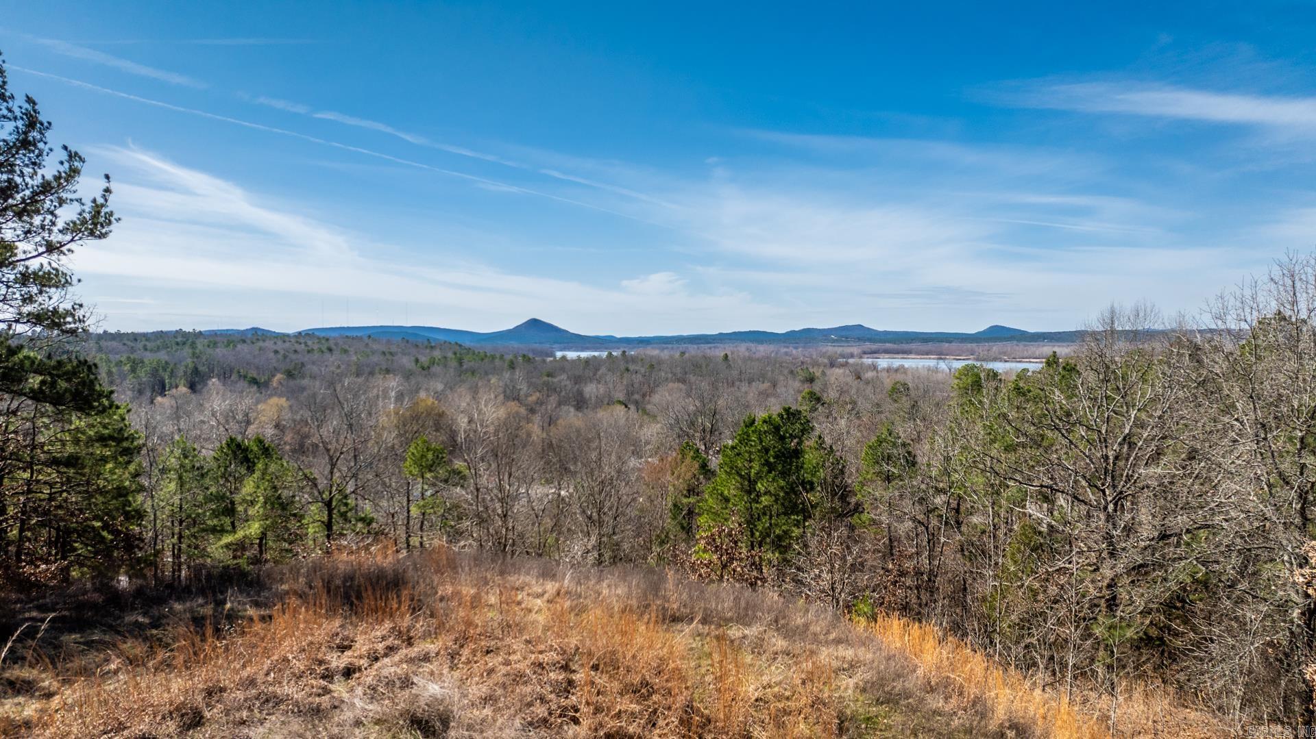14000 Mountain River Drive Property Photo 4